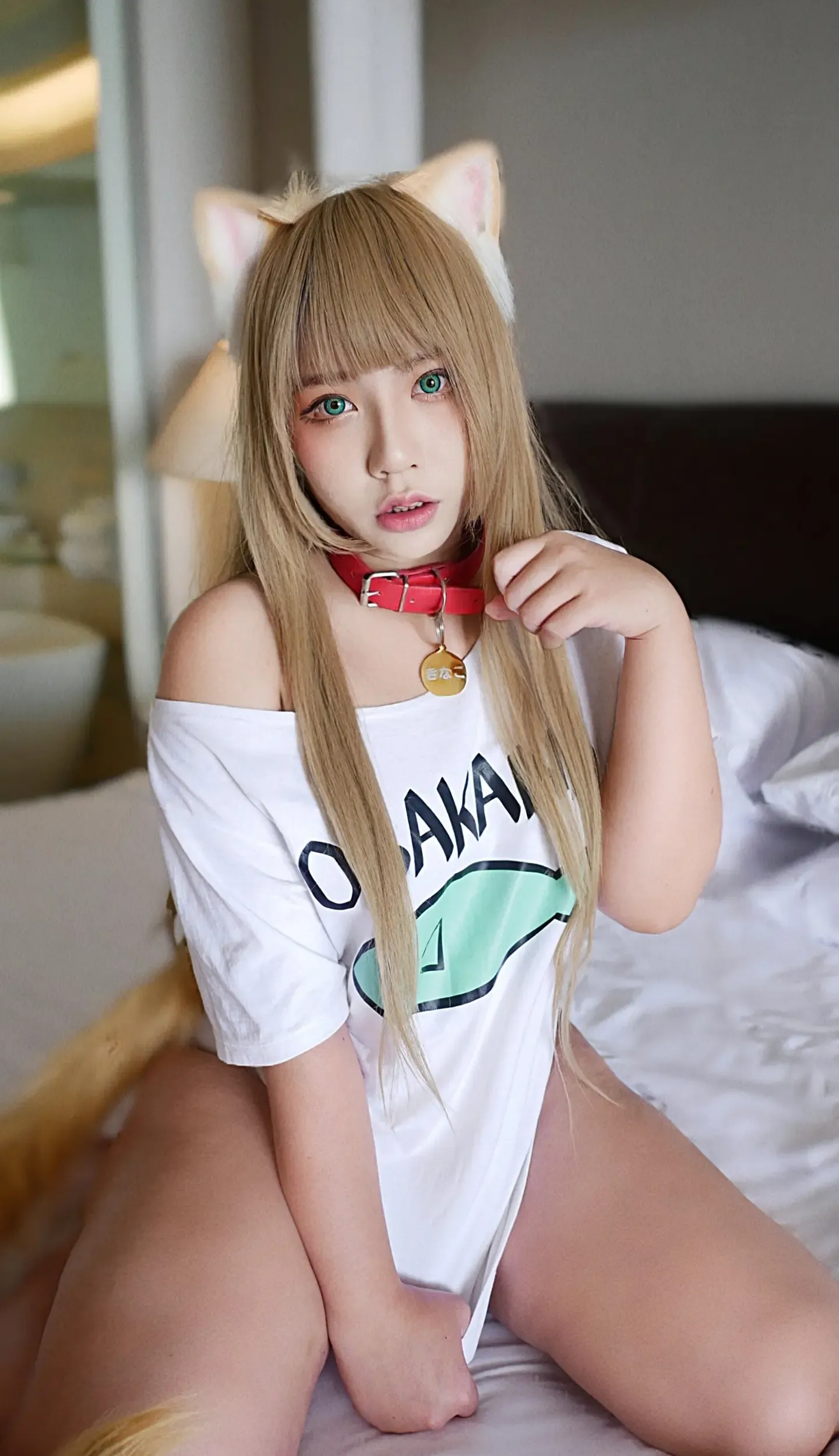 Aokotan Kinako