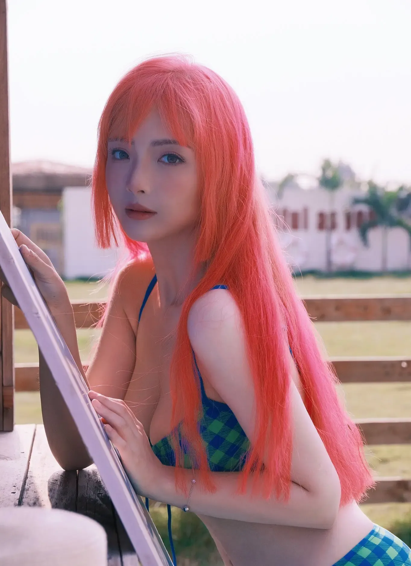 一只云烧 夏野