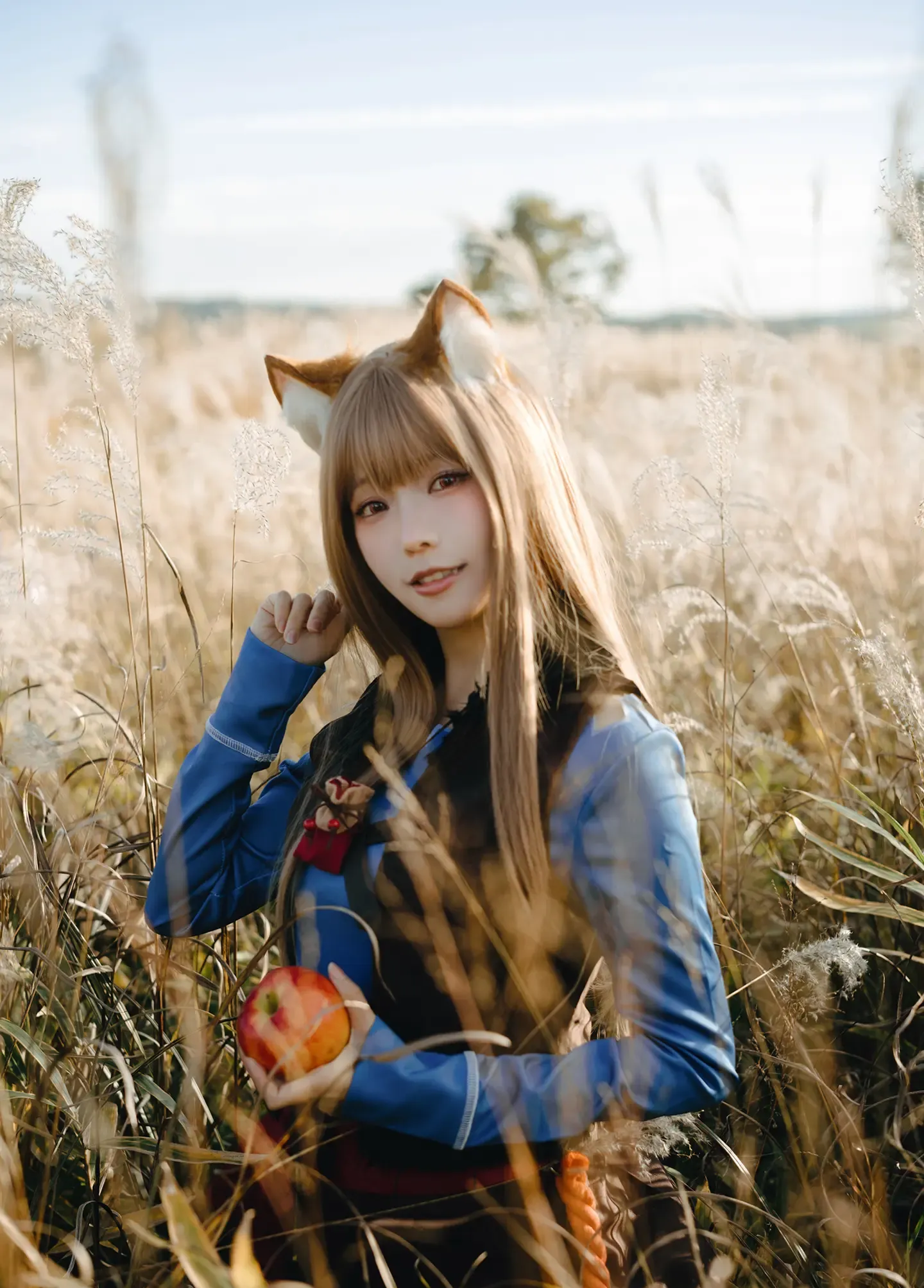 Elyee Soft Glow 狼與暖陽