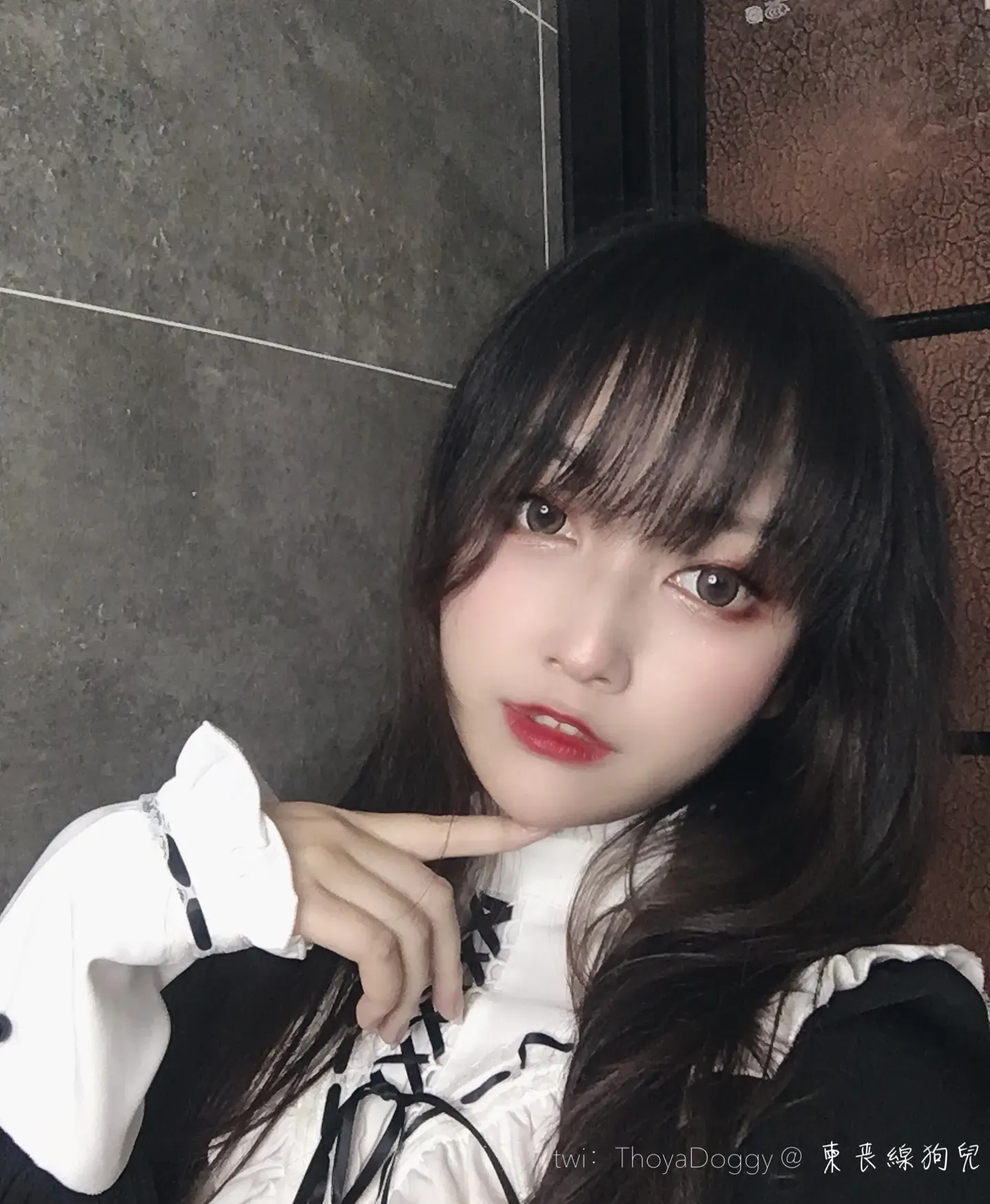 棕桠阿狗崽 机械修女