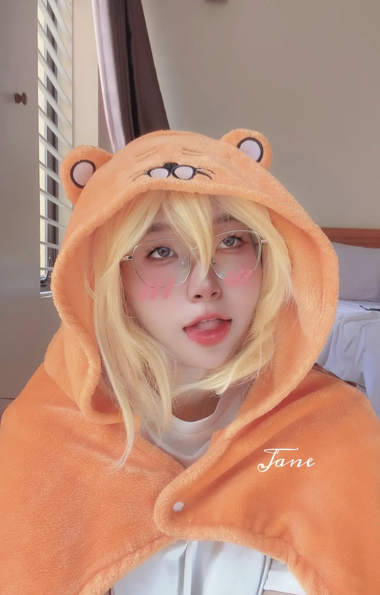 NyanChan 散图