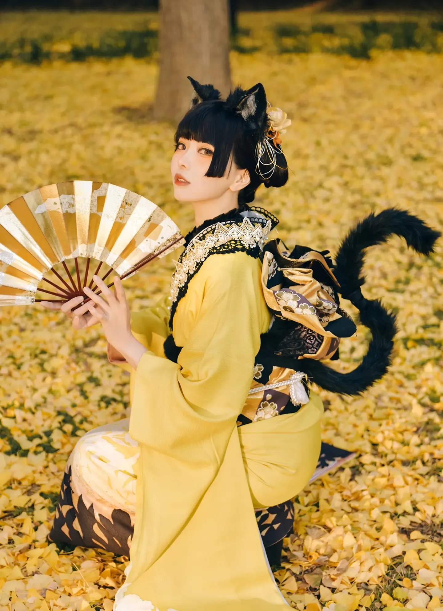 Elyee 202411 Ginkgo Black Cat銀杏黑貓