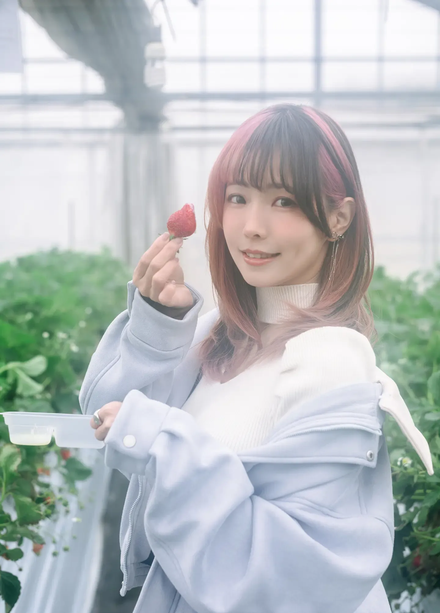 Elyee Strawberry Picking Date