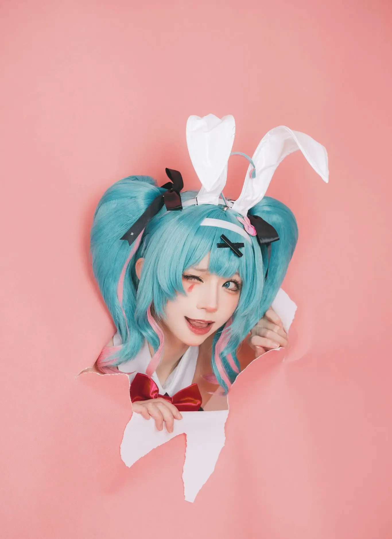 Kitaro绮太郎 兔子洞