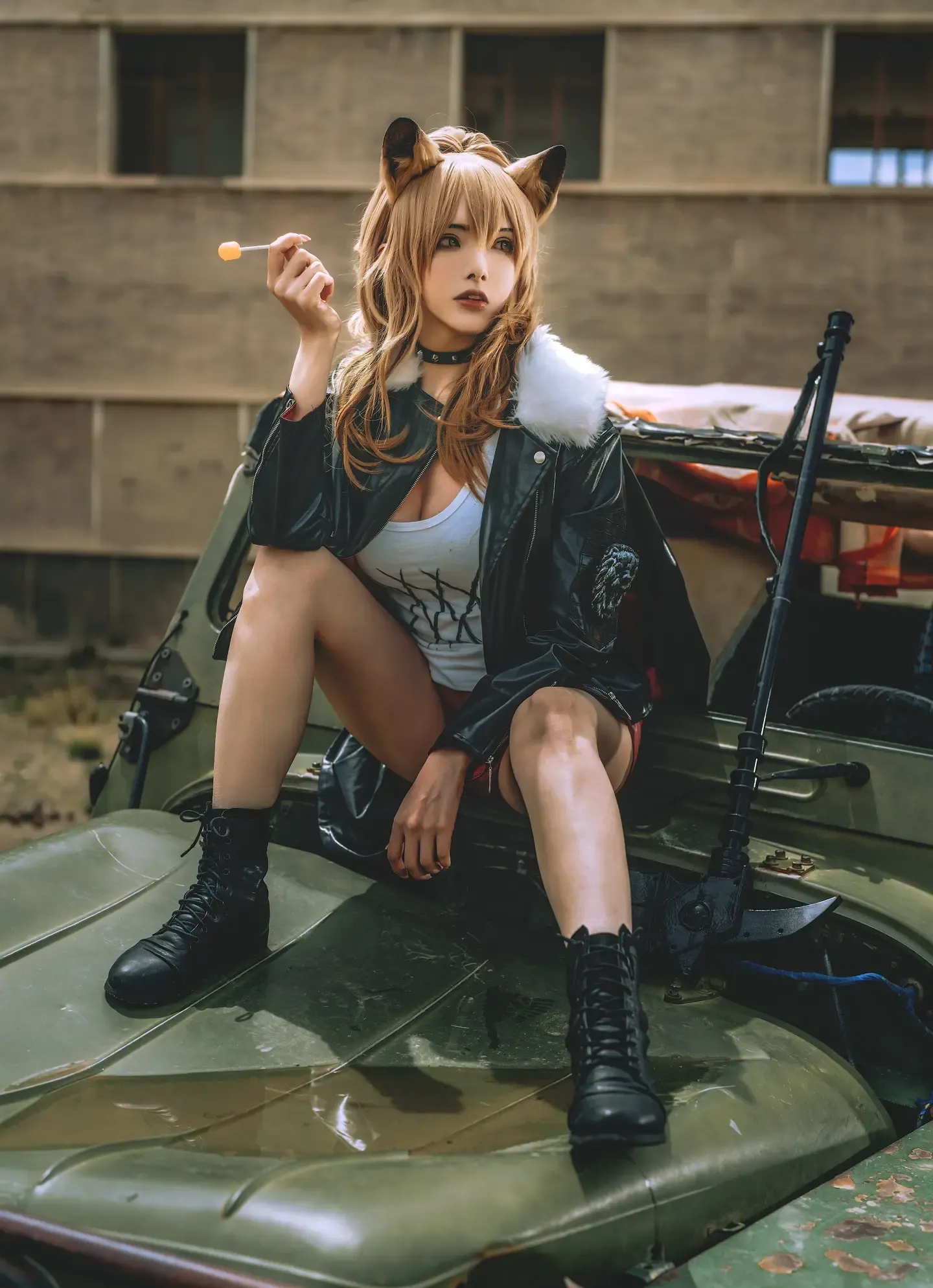 秋和柯基 推进之王