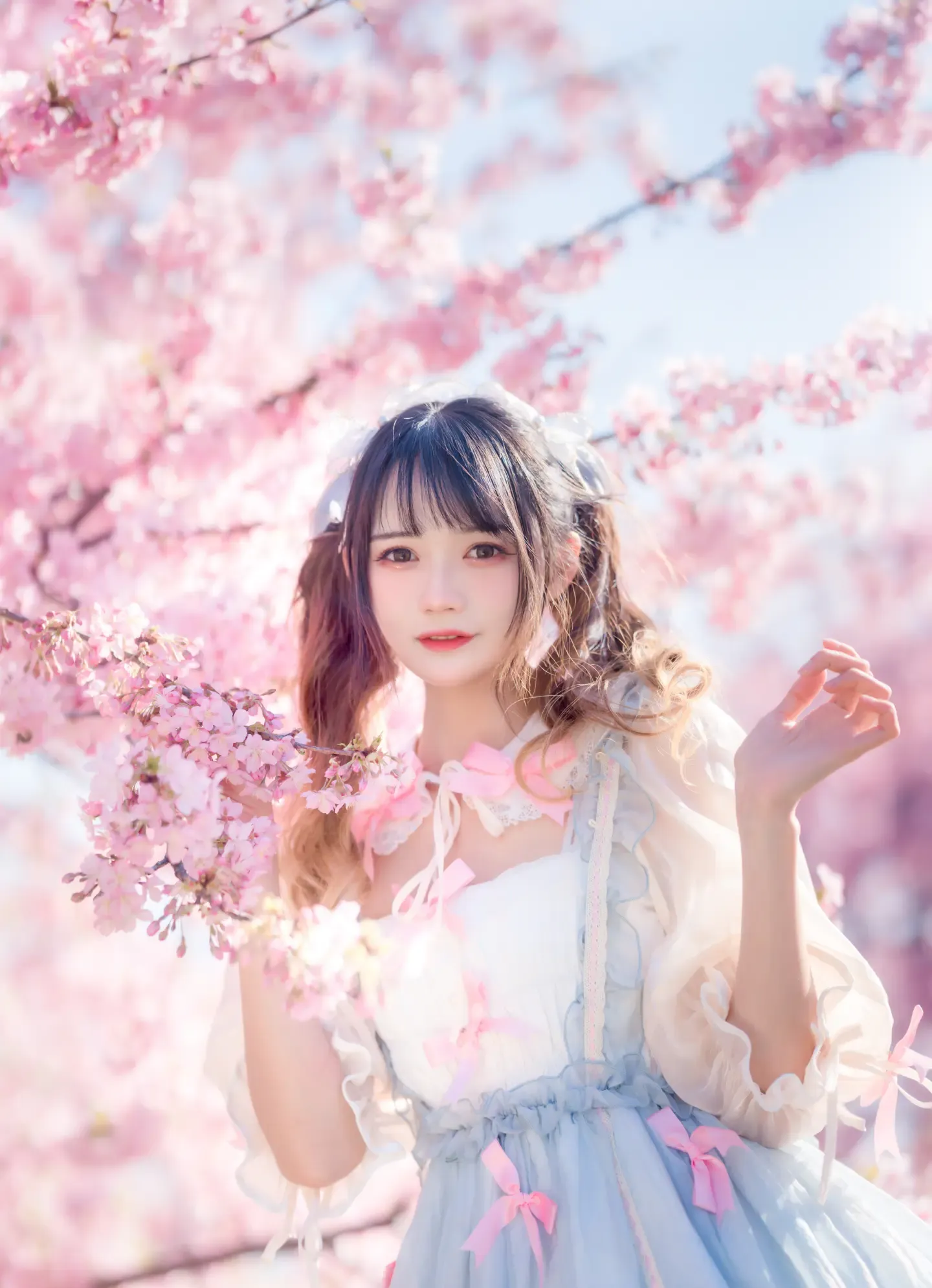 兔子Zzz不吃胡萝卜 2022.04.17 粉色春天