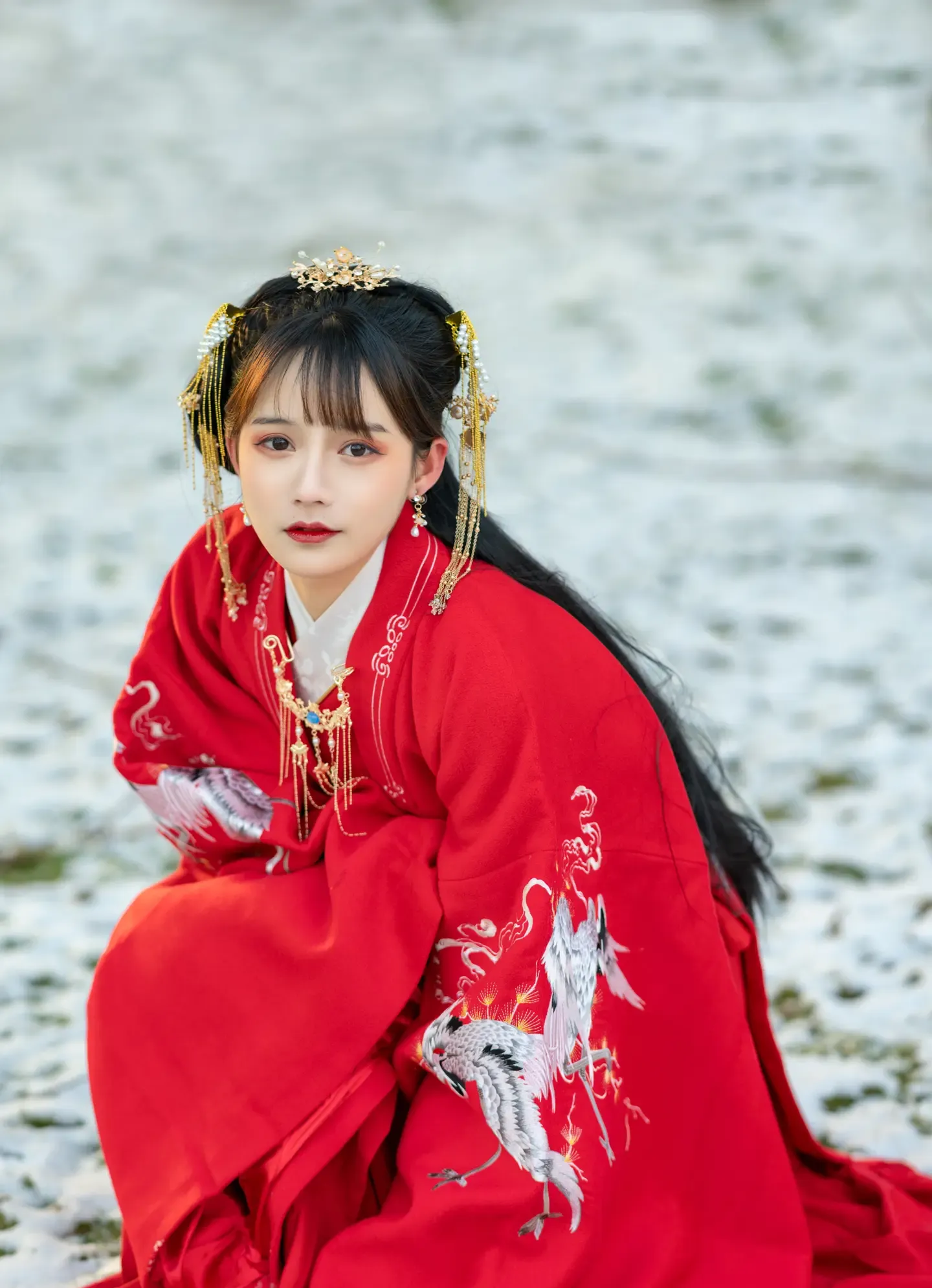 兔子Zzz不吃胡萝卜 深宫雪