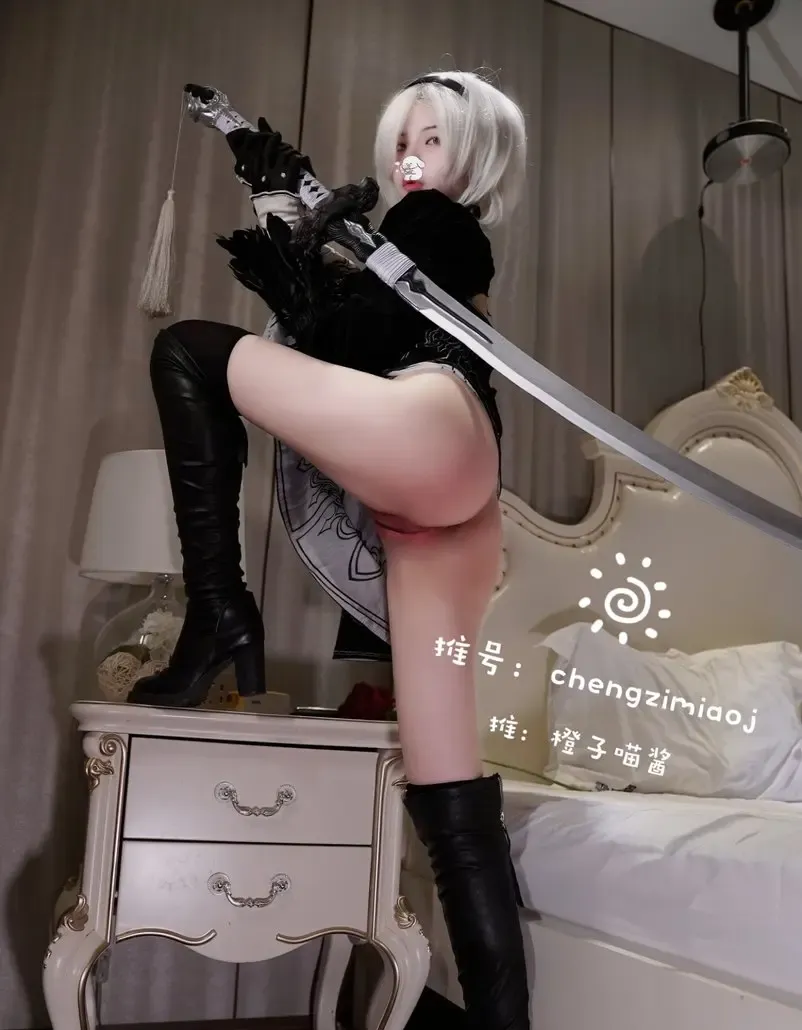 橙子喵酱 尼尔机械纪元 2B