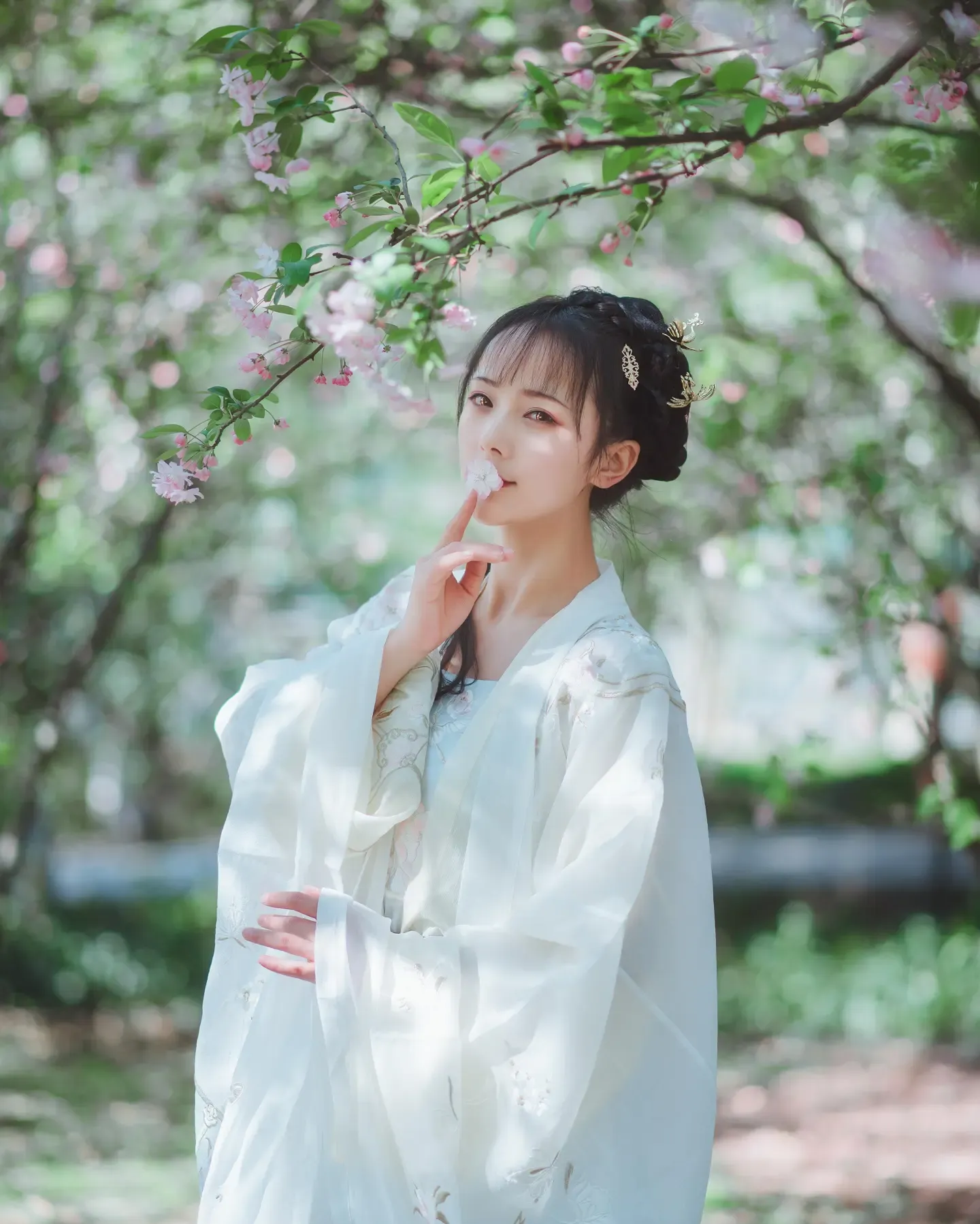 拿相机的执义 巫忧爱做梦 你我暮年静坐庭前赏花落谈笑流年