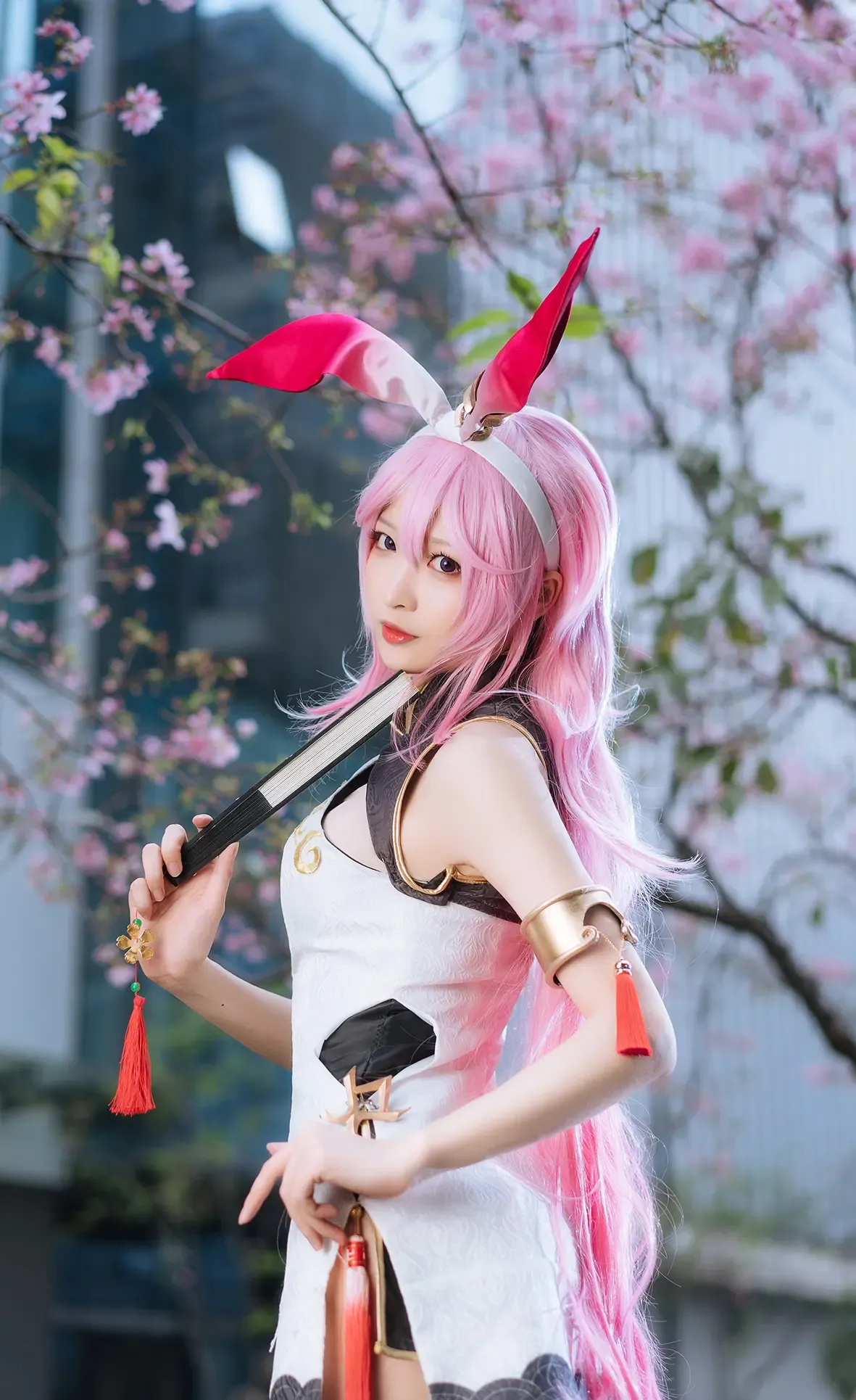 小南宫w 八重樱 1