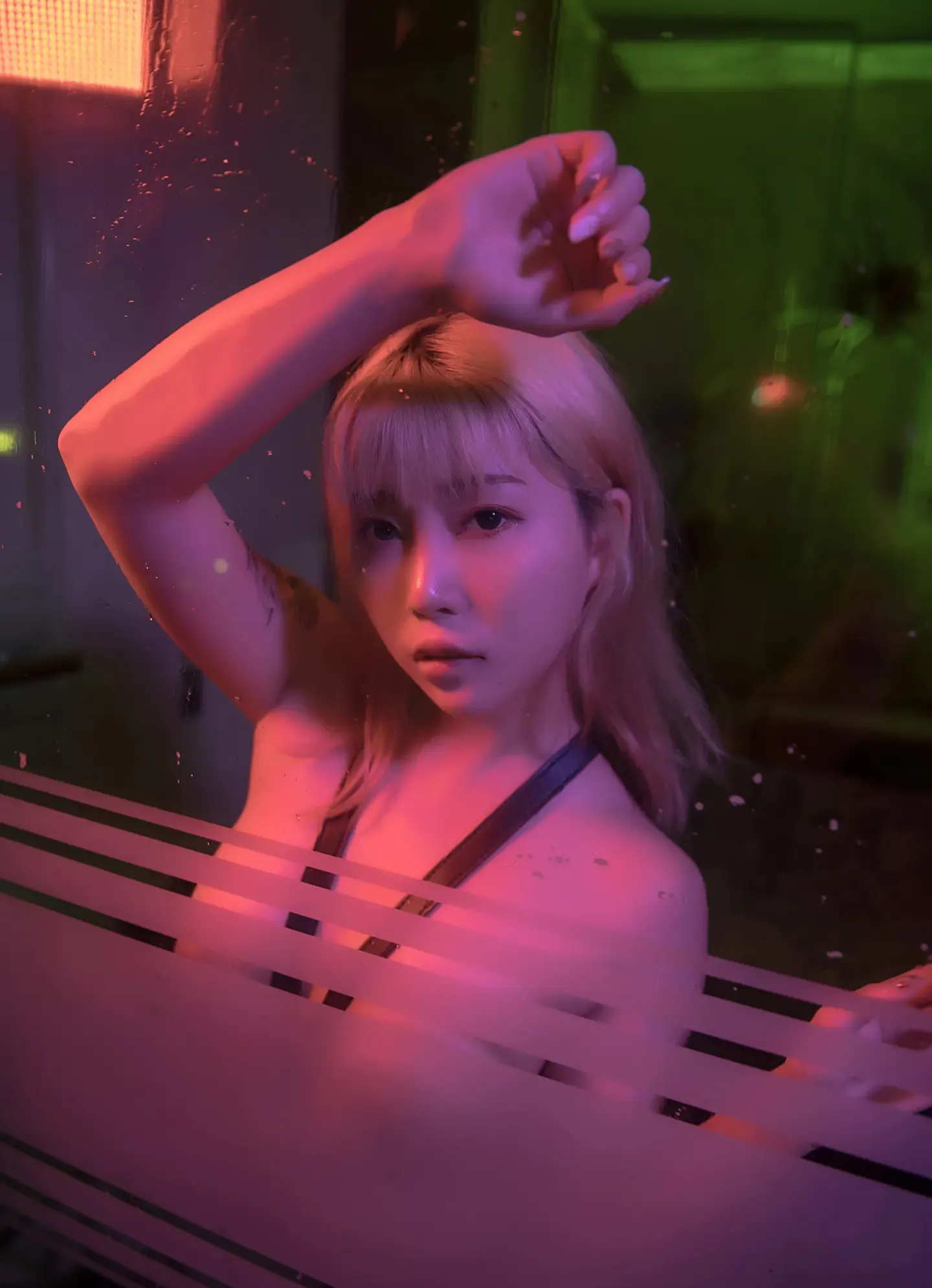 Stacy 摇曳的光影