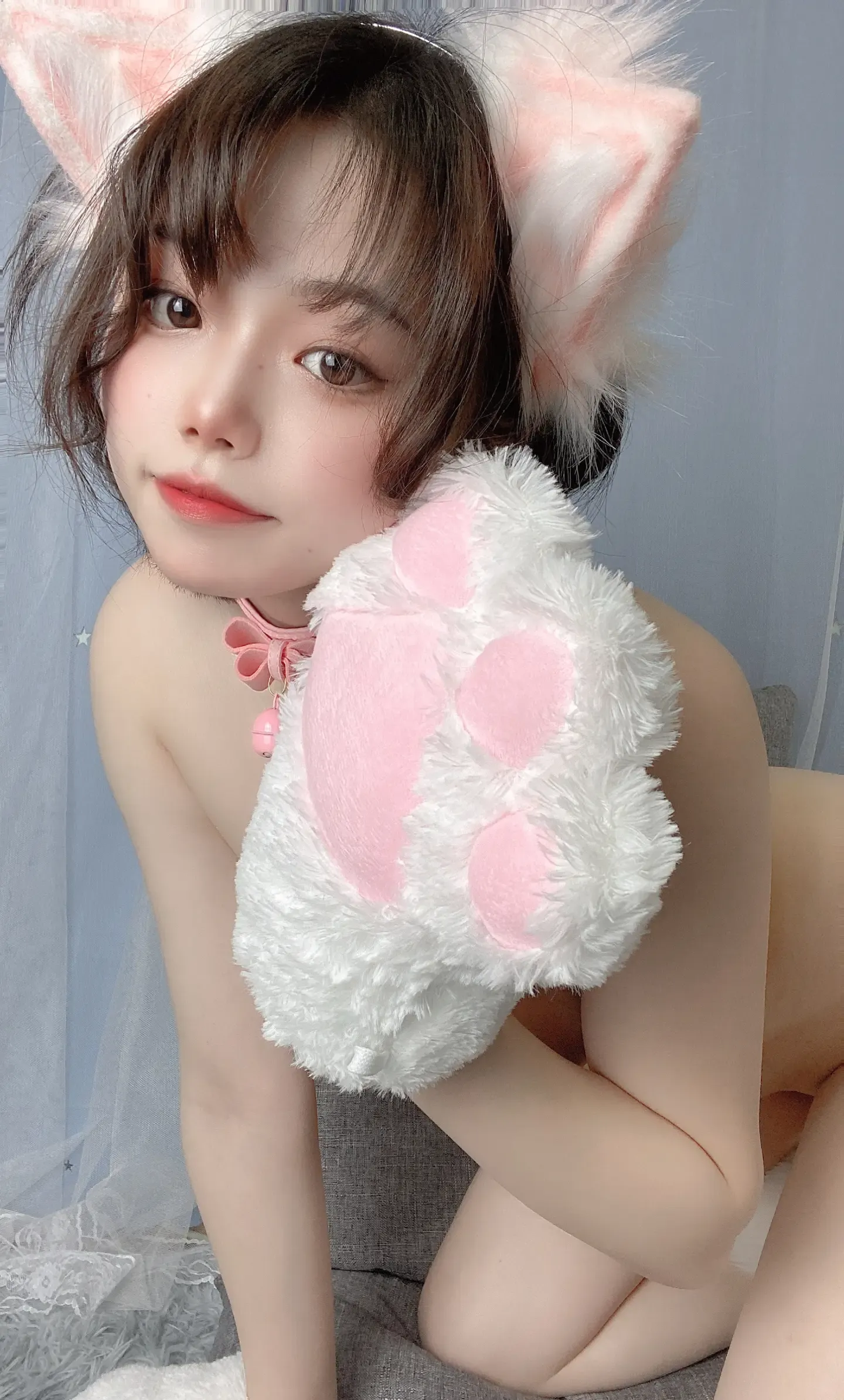 七月喵子 粉丝定制猫咪
