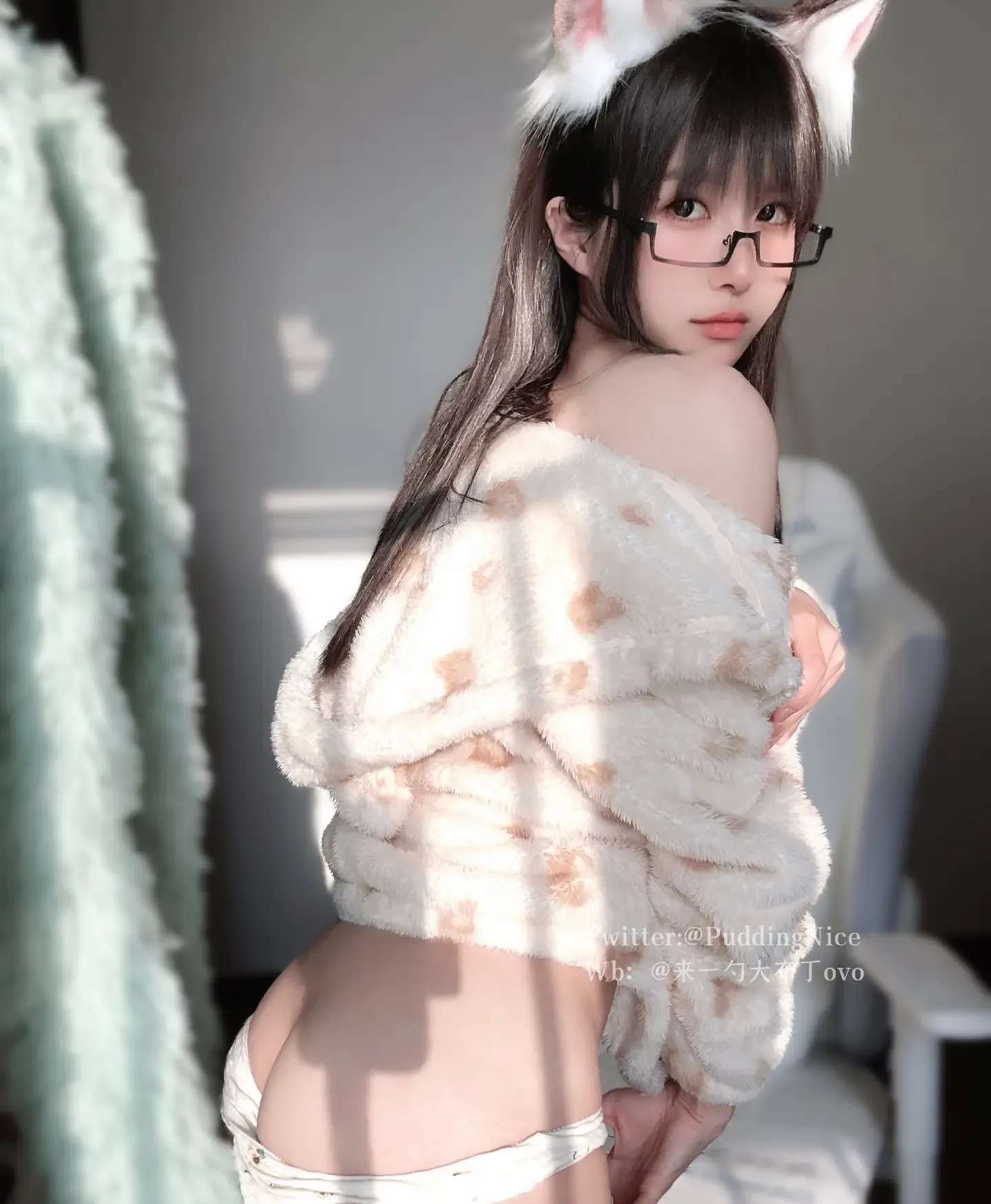 布丁大法 芝士猫