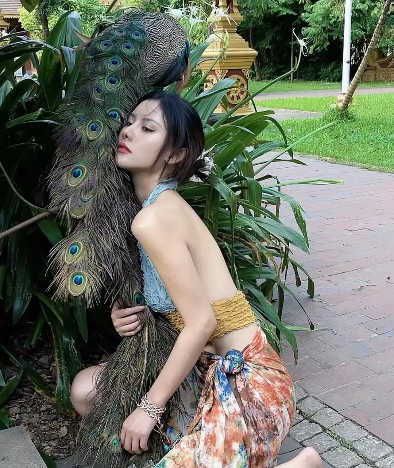 就是阿朱啊 人与自然