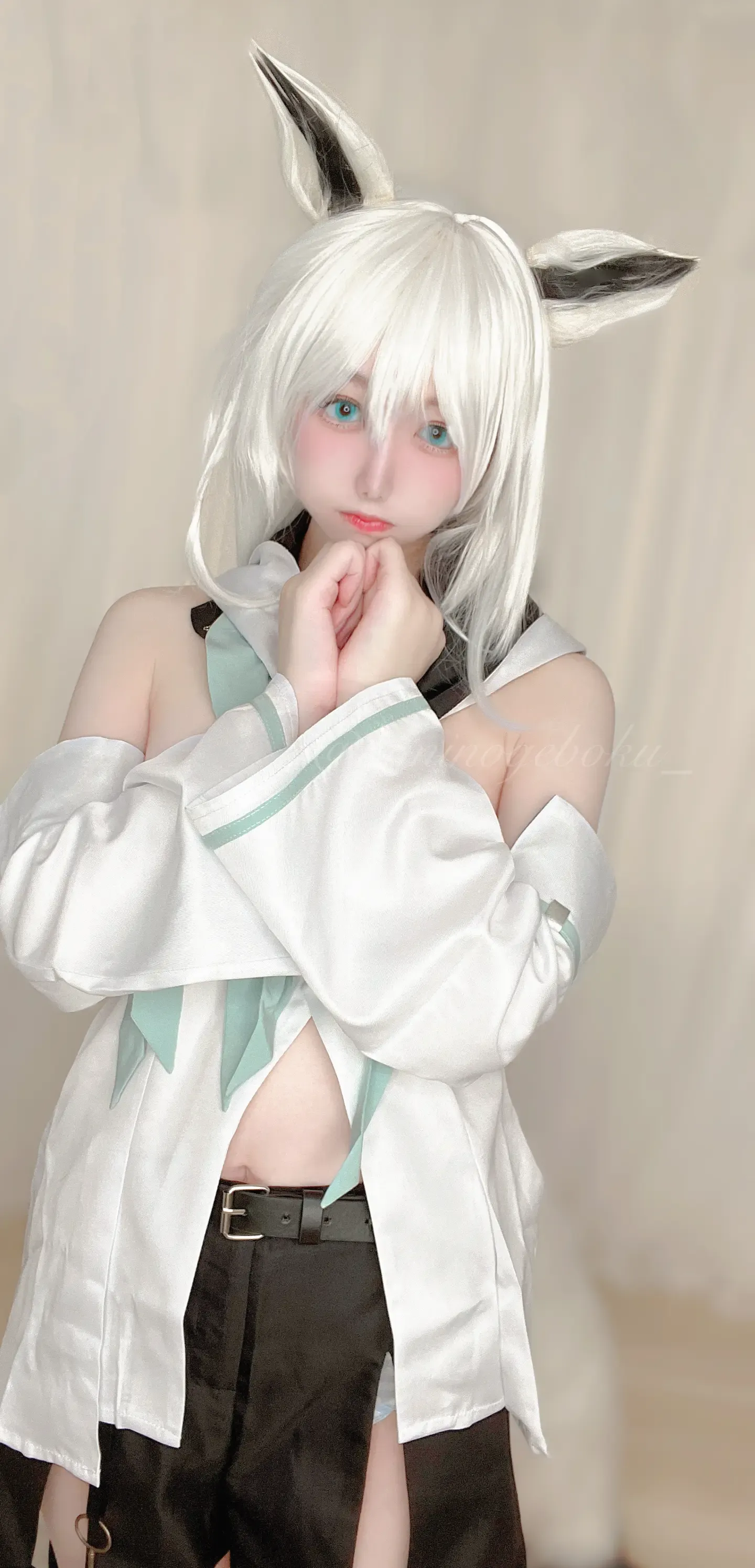 Wanco Fubuki