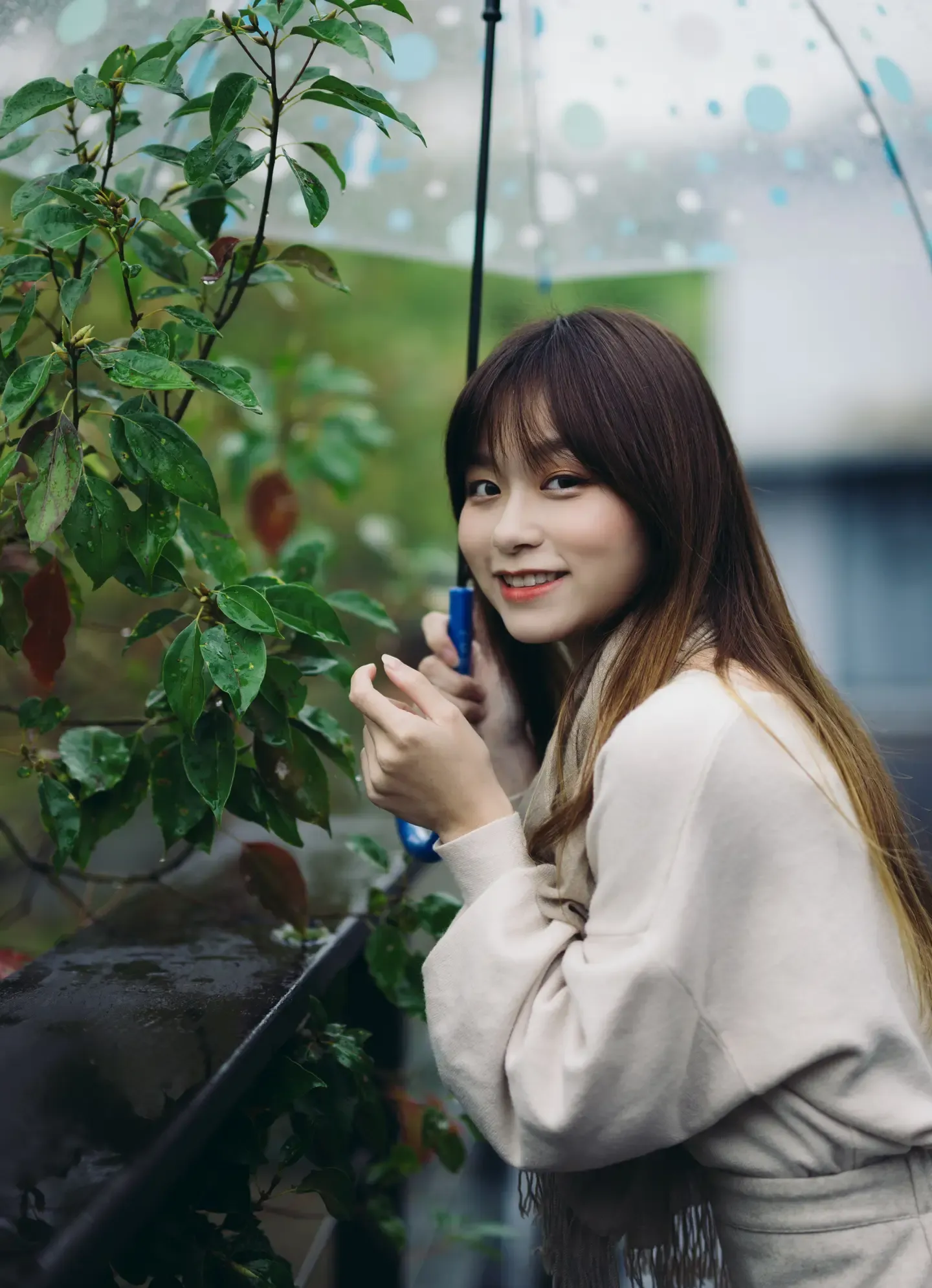畊畊 茶厂