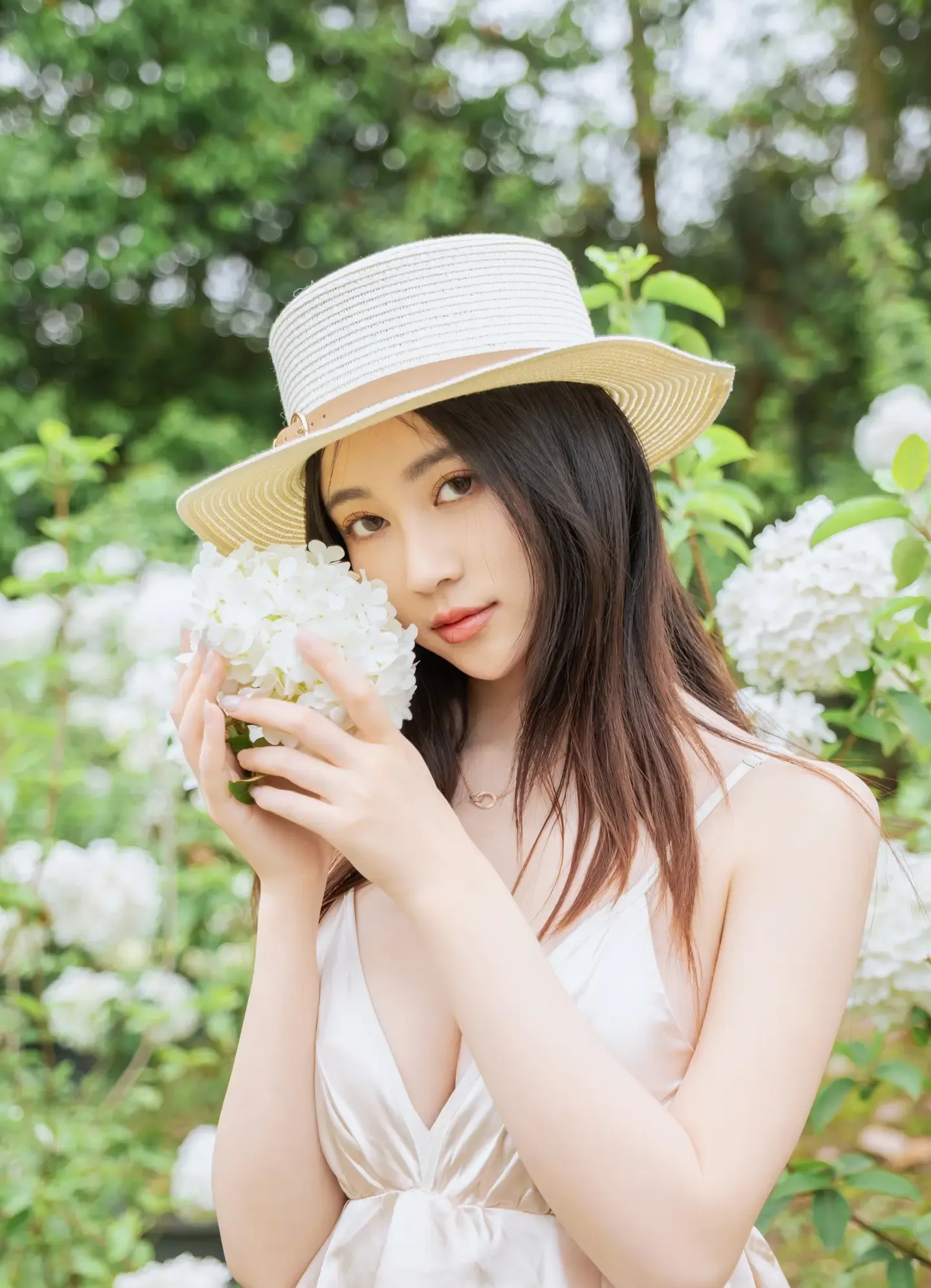 年年 木绣球
