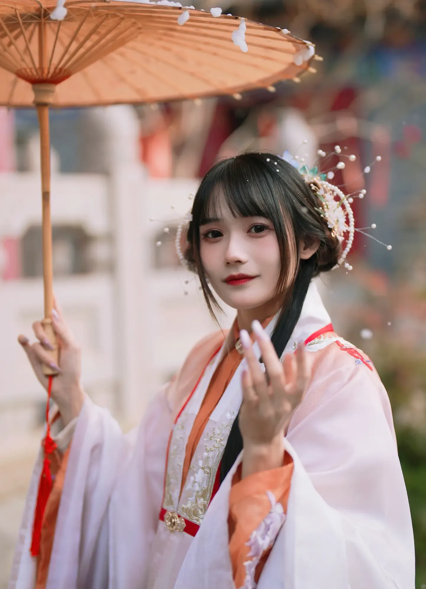 兔子Zzz不吃胡萝卜 红叶新赋