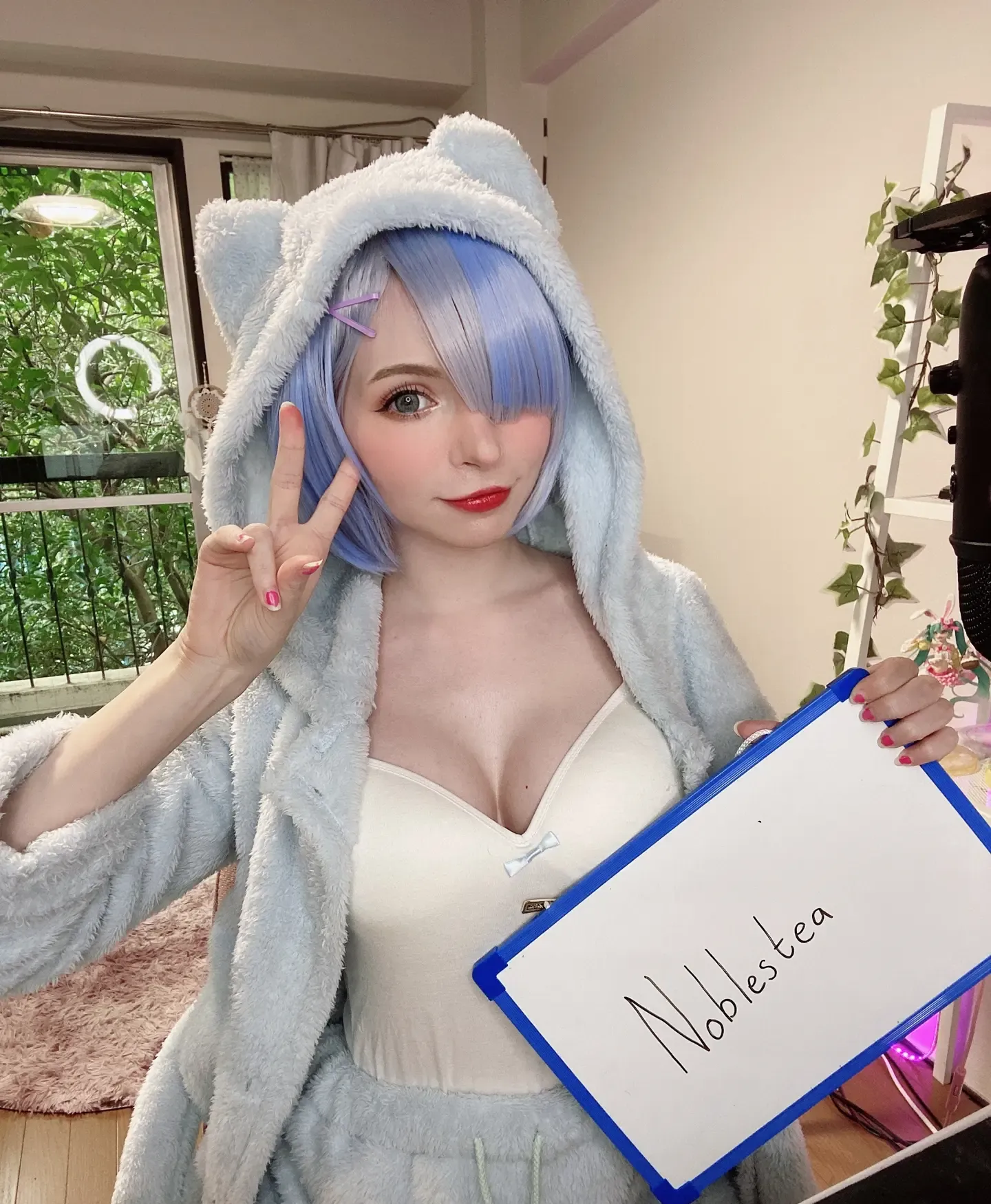 Peachmilky Mirrored Fansigns