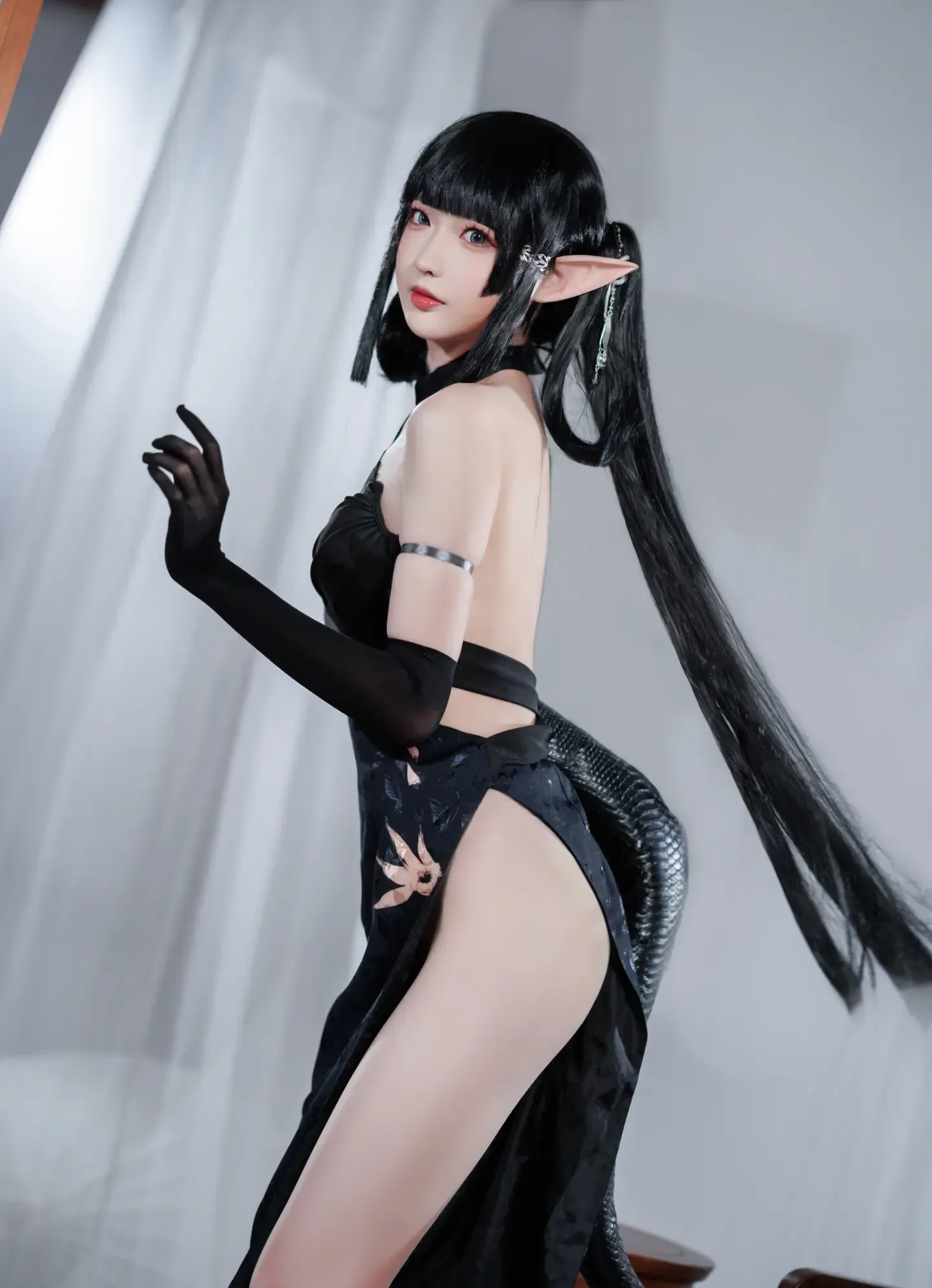 小南宫w 森蚺