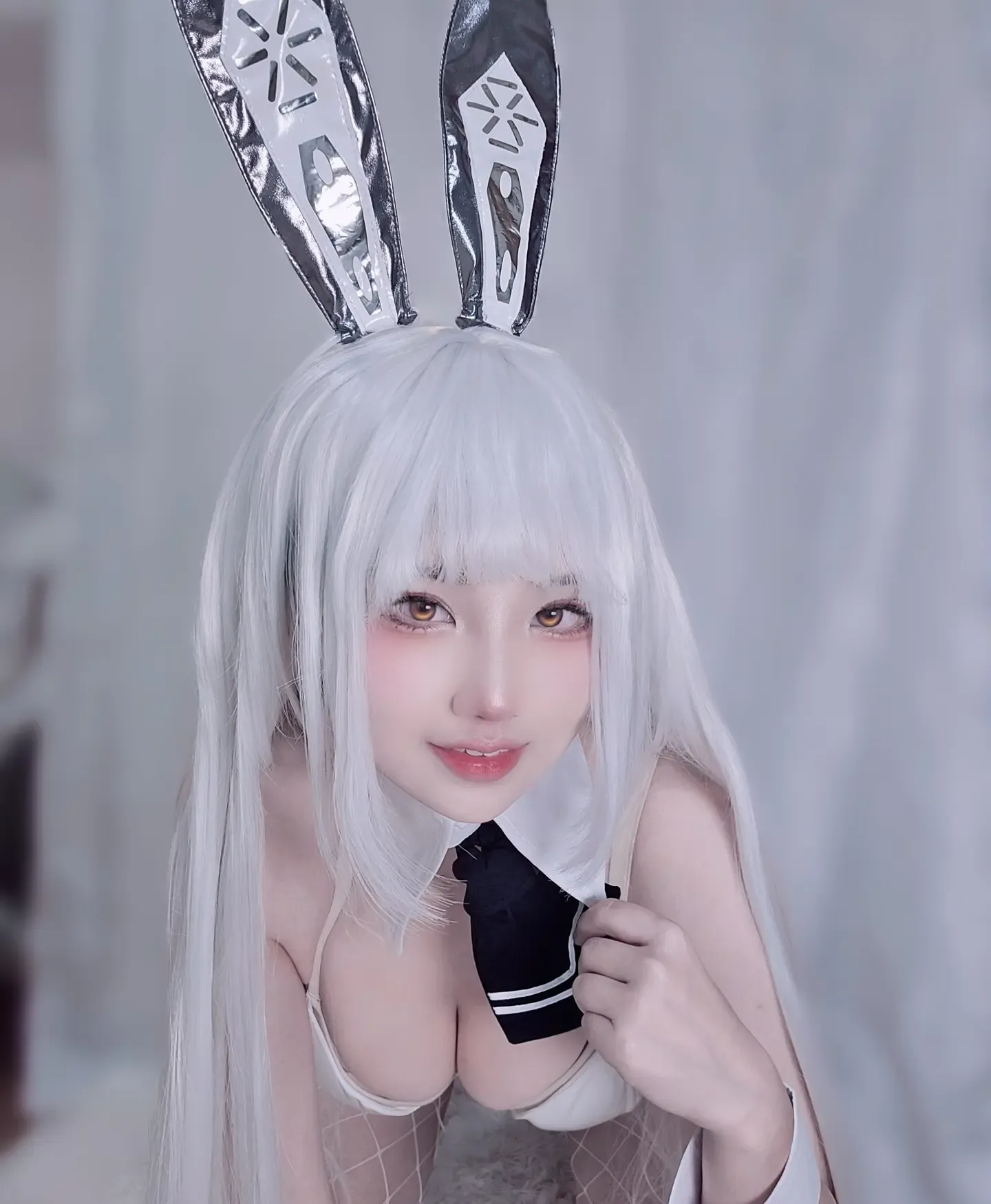 キツネ Blanc