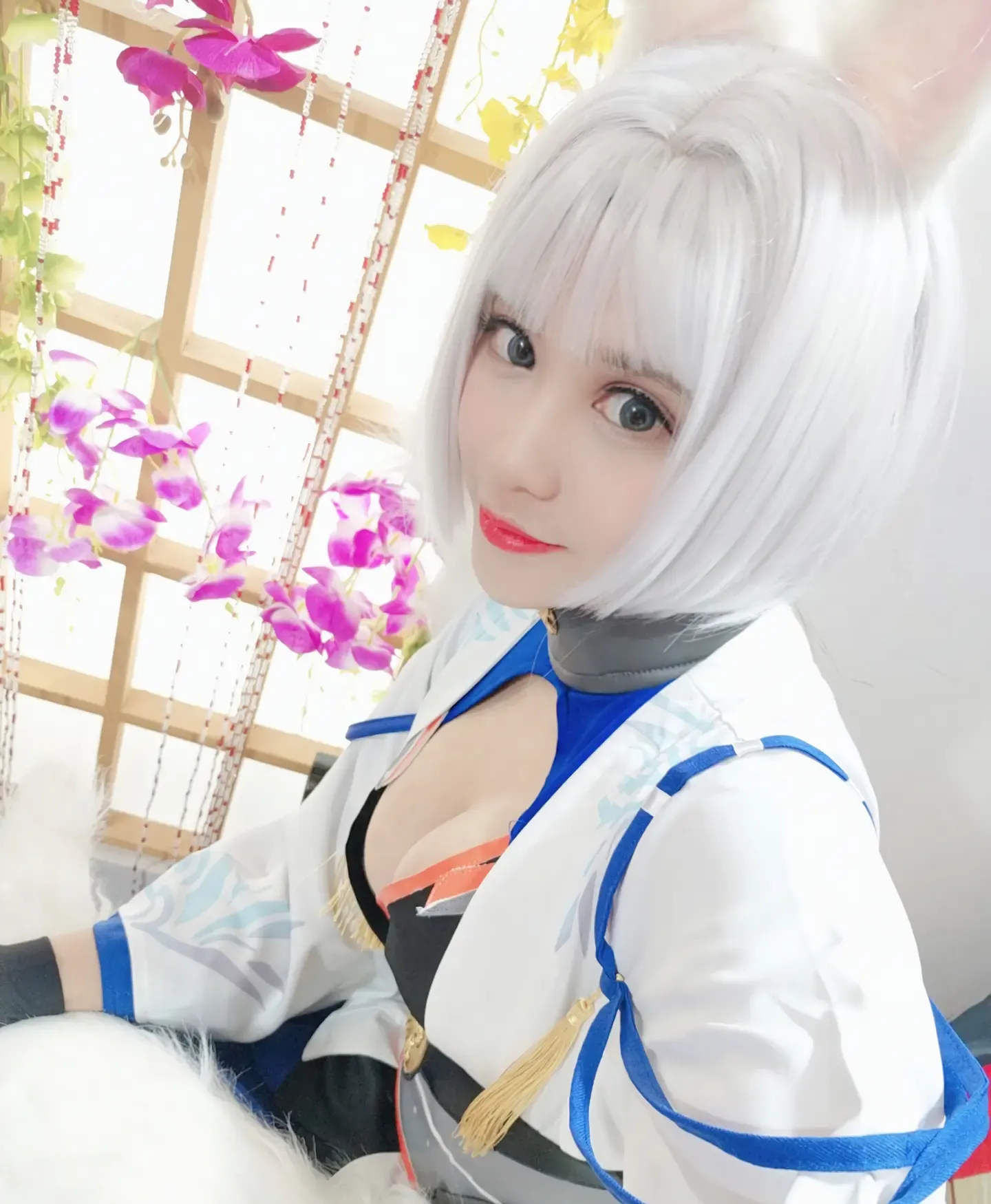 神探火狸狸 加贺