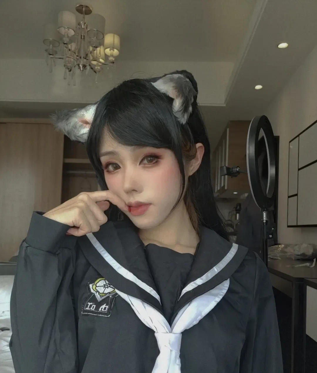钛合金TiTi 狗狗