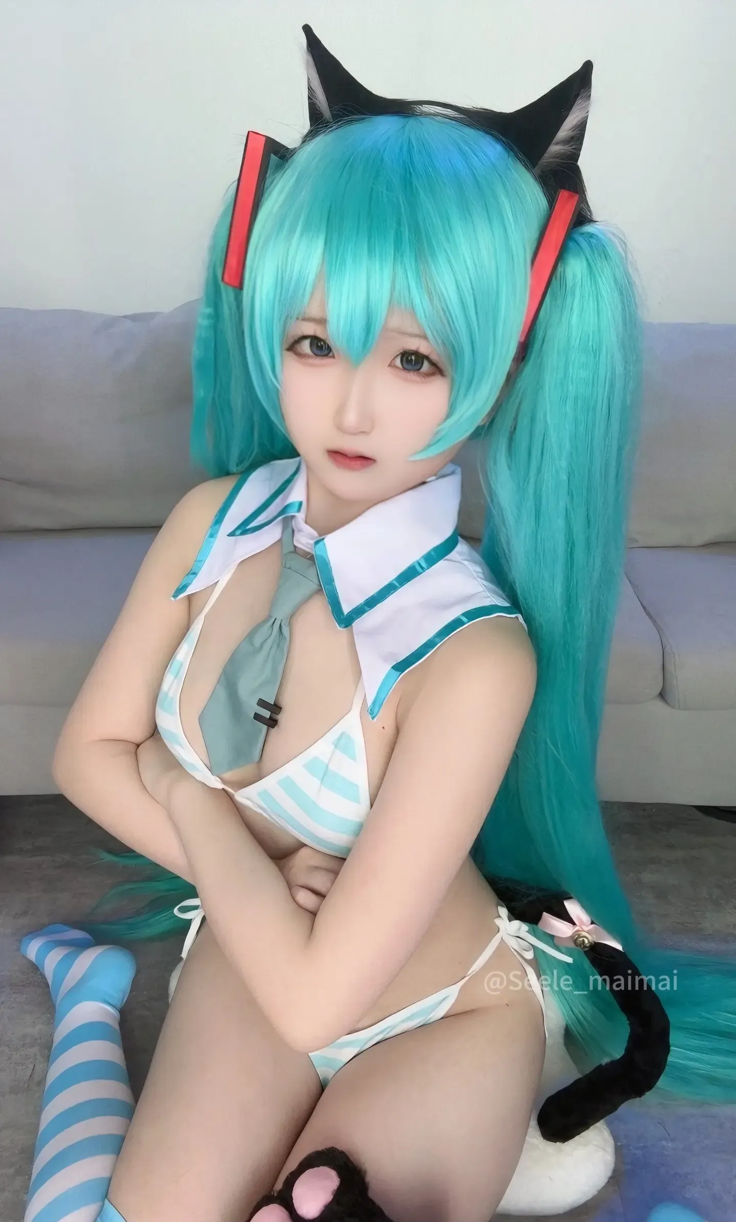 Seele麦麦 初音未来