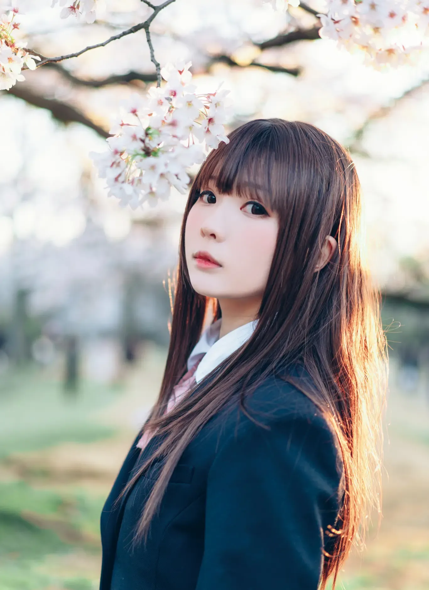 霜月shimo SPRING