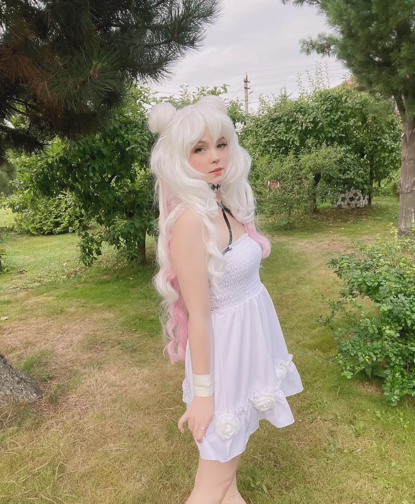 Caticornplay Le Malin