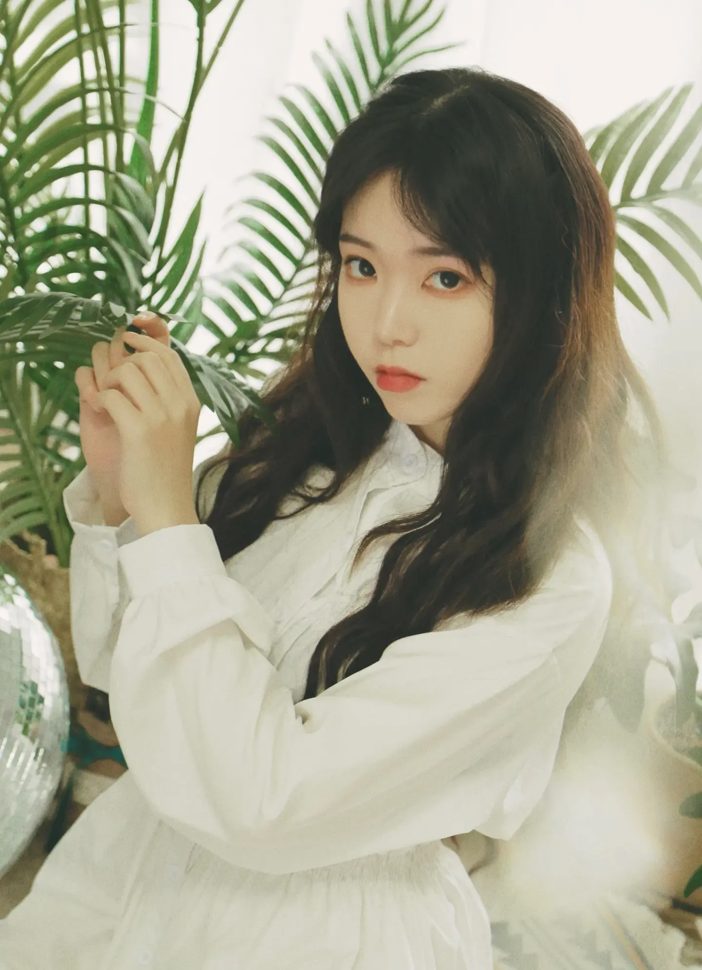 Fushii海堂 IU Final