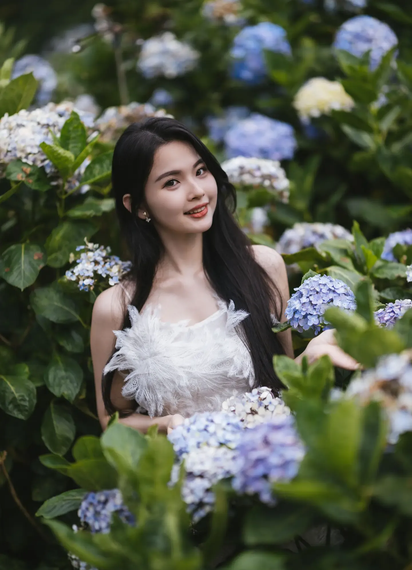 米浆 绣球花