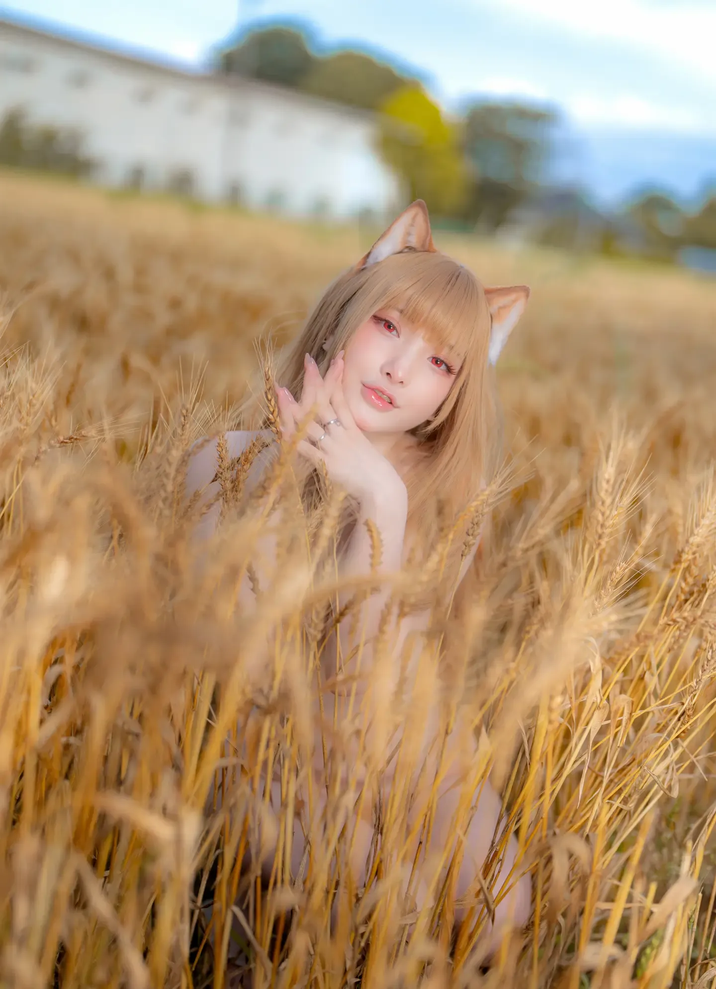 小丁 Holo Spice And Wolf