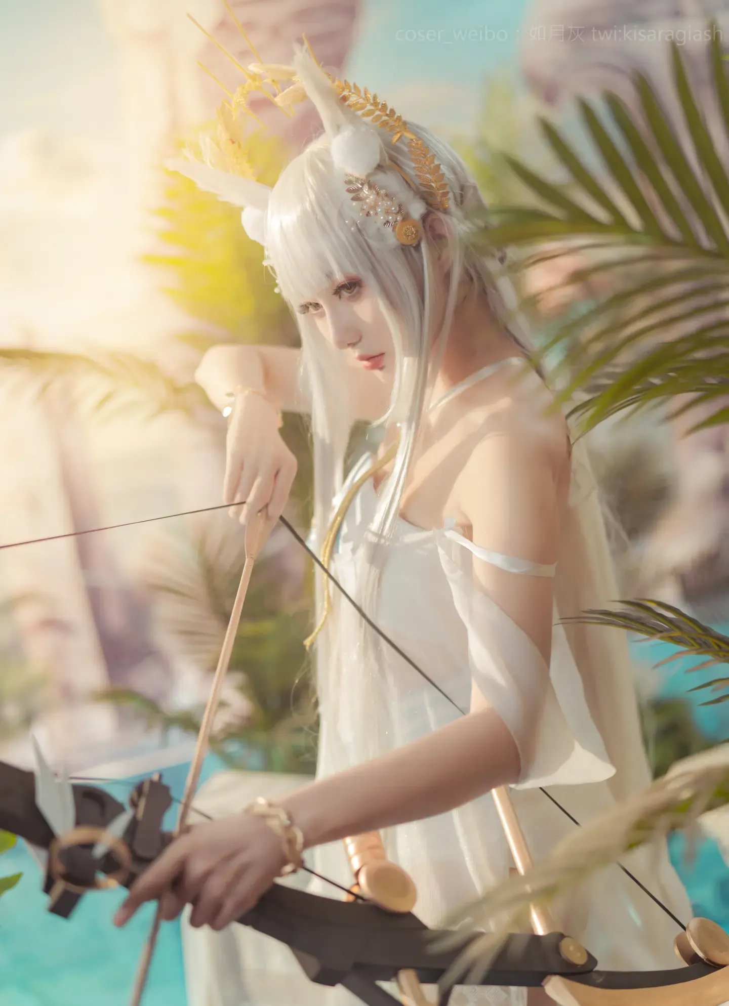 如月灰 Platinum ARK
