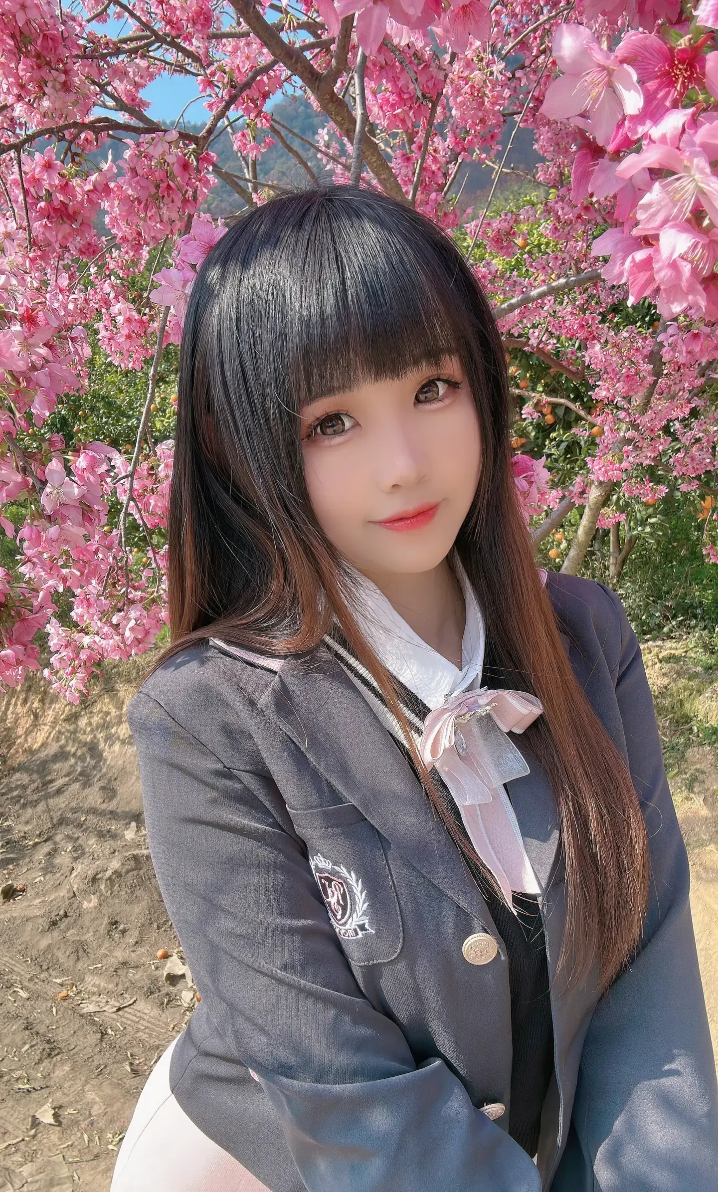 miko酱ww 2023年03月 真爱粉 樱花