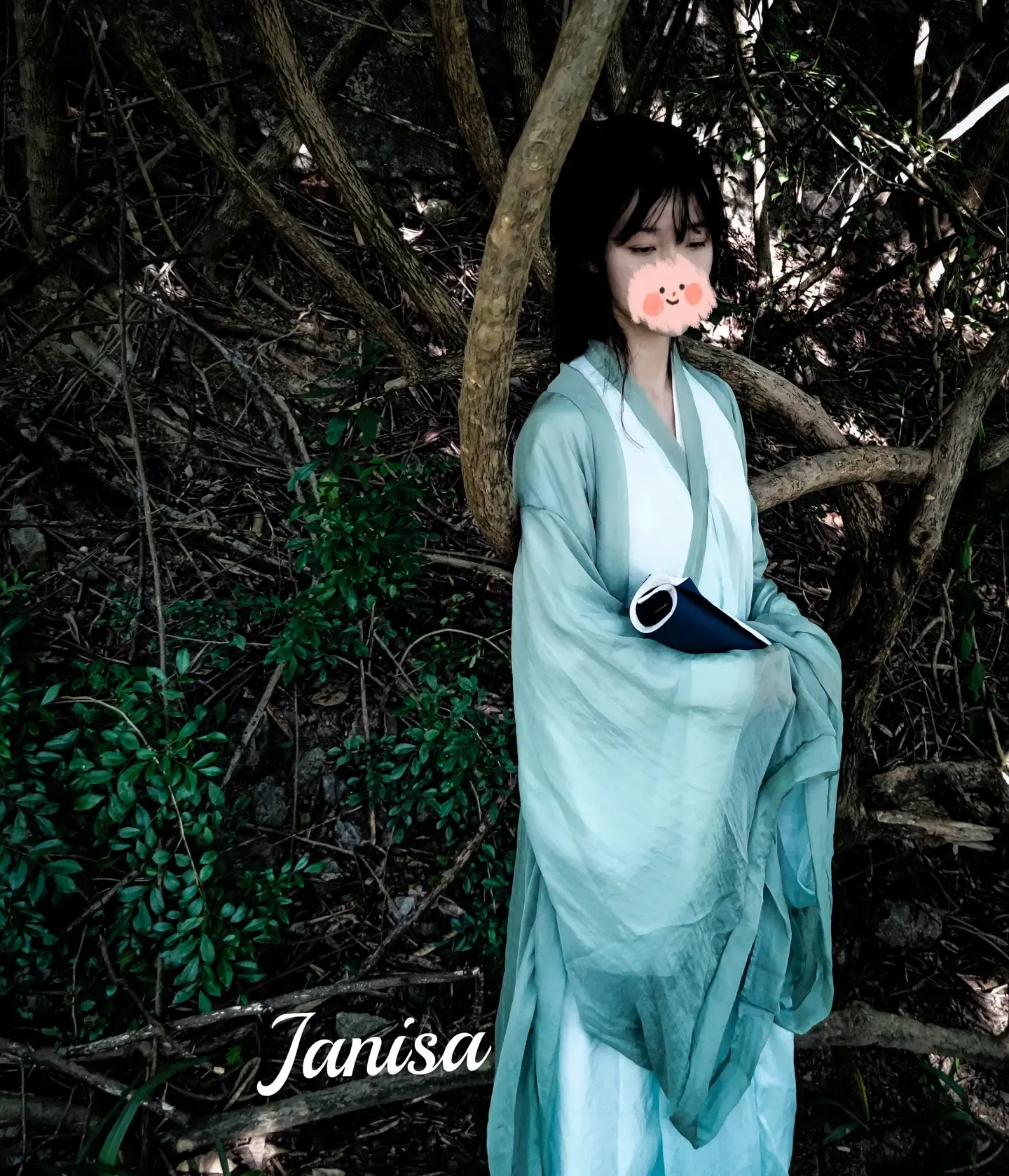 Janisa 一曲广陵散