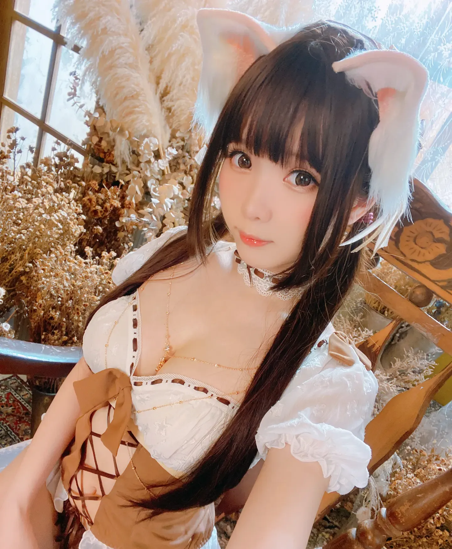 霜月shimo 猫耳