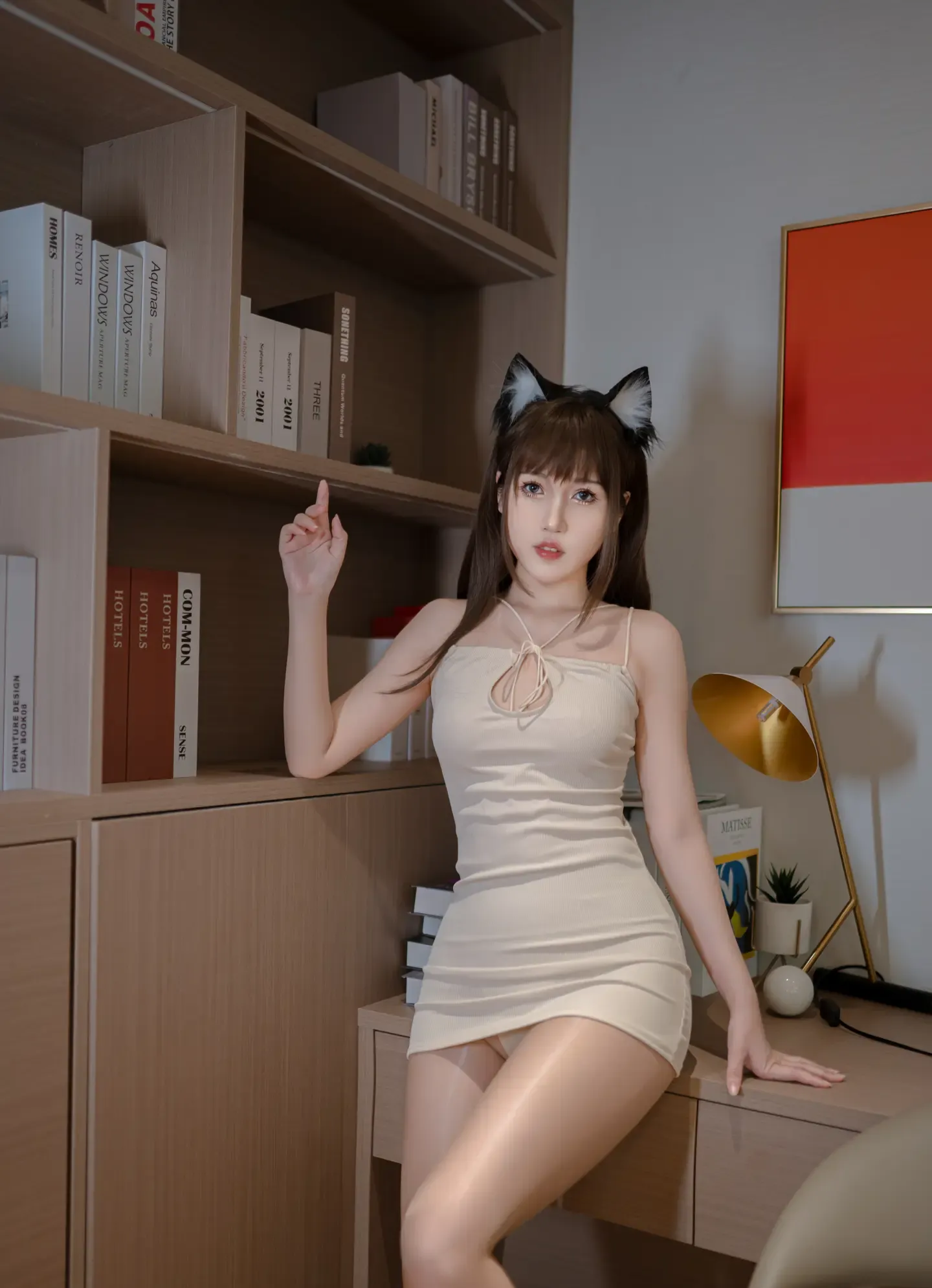 不呆猫 家教猫老师