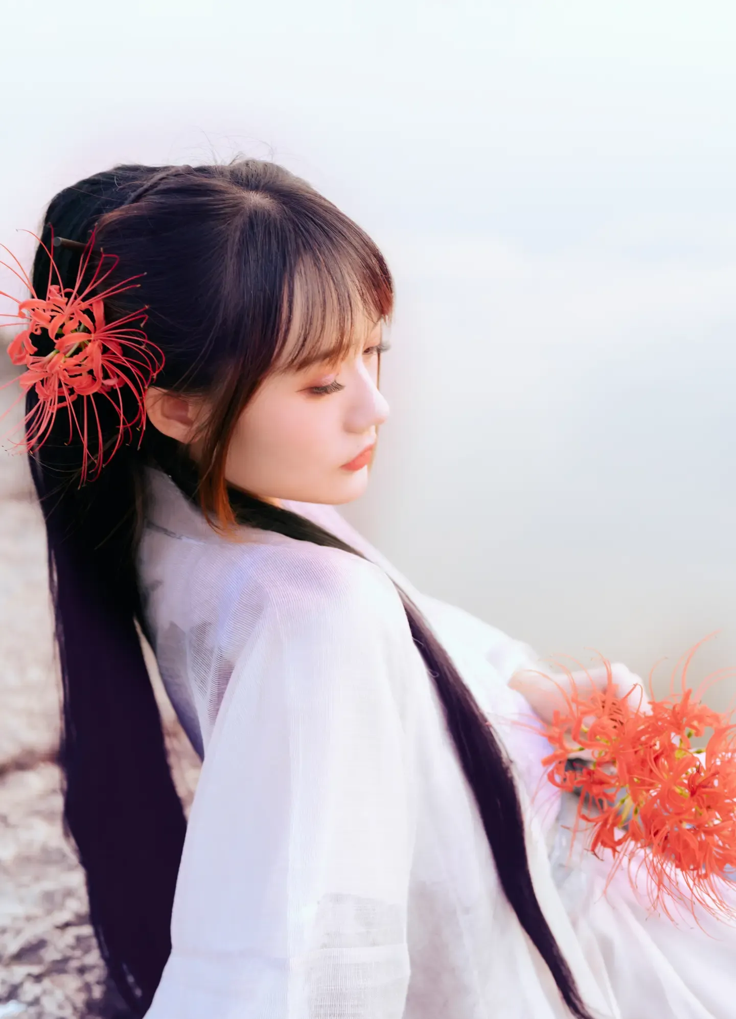 兔子Zzz不吃胡萝卜 暮空照水