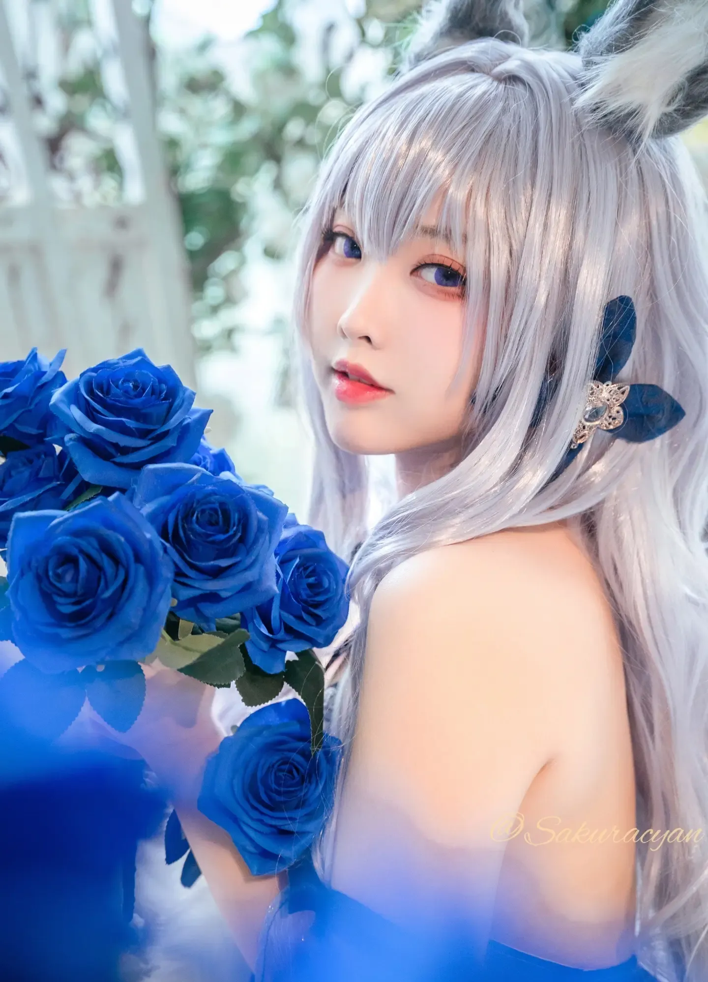 宫本桜 碧蓝航线 信浓 胧月十夜