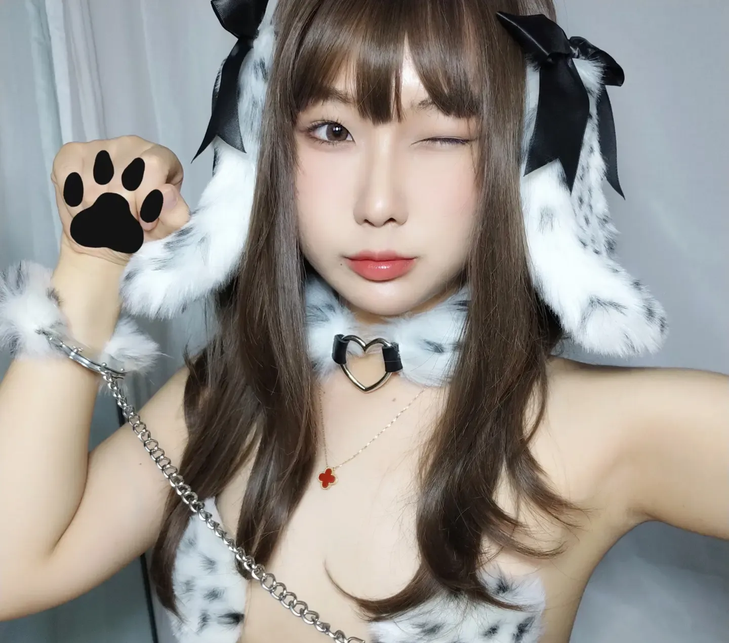 金桔万岁 斑点狗