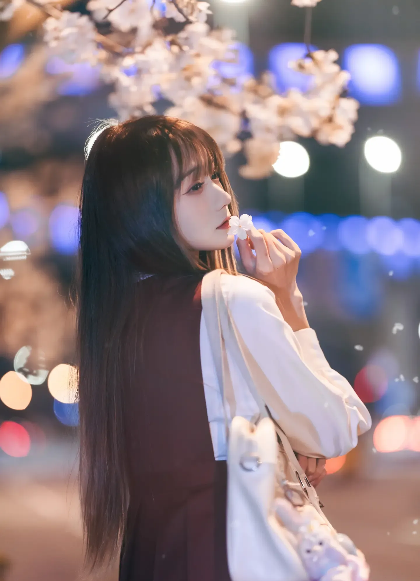 兔子Zzz不吃胡萝卜 2022.04.23 邂逅樱花雨