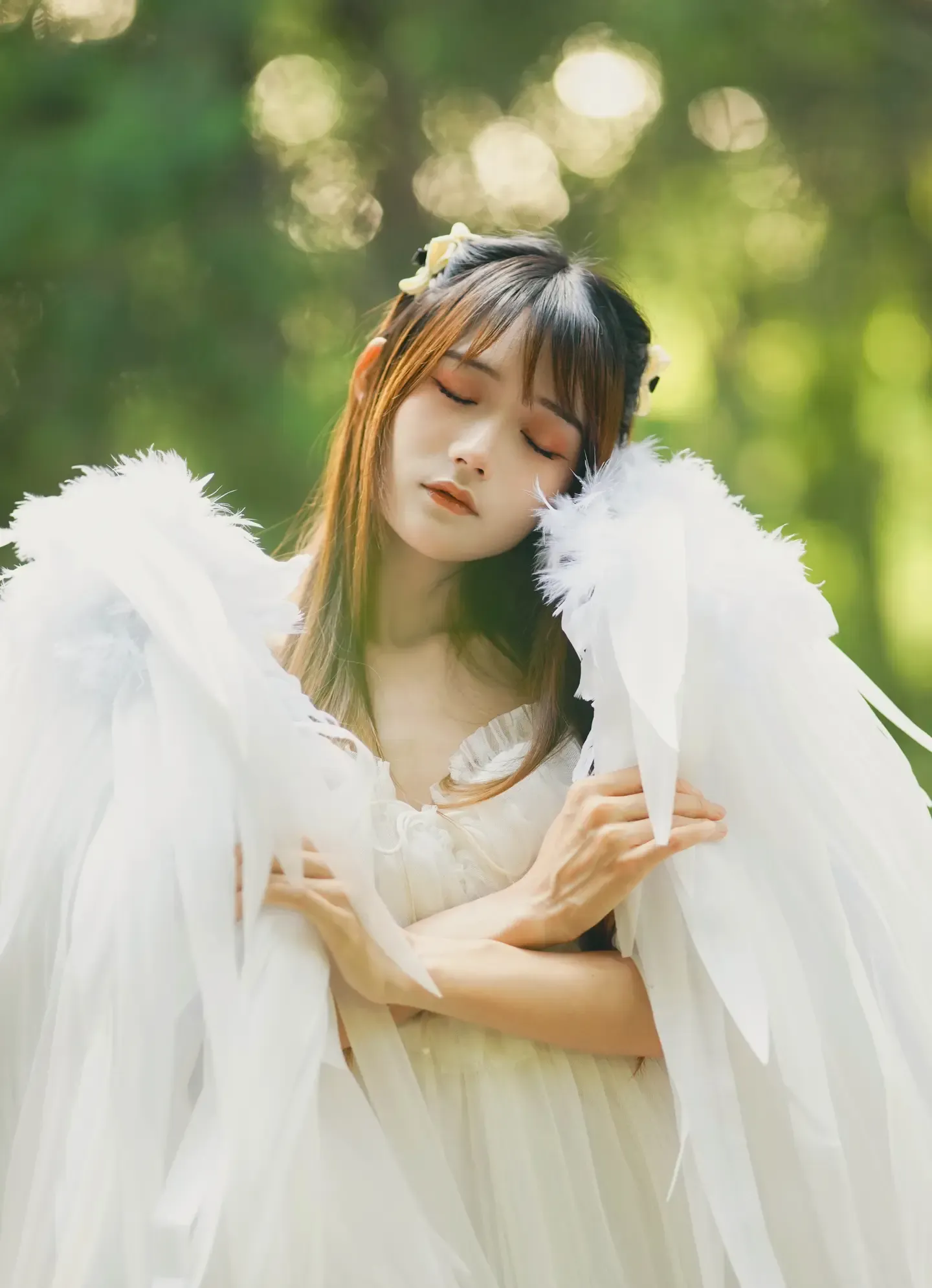兔子Zzz不吃胡萝卜 林中天使