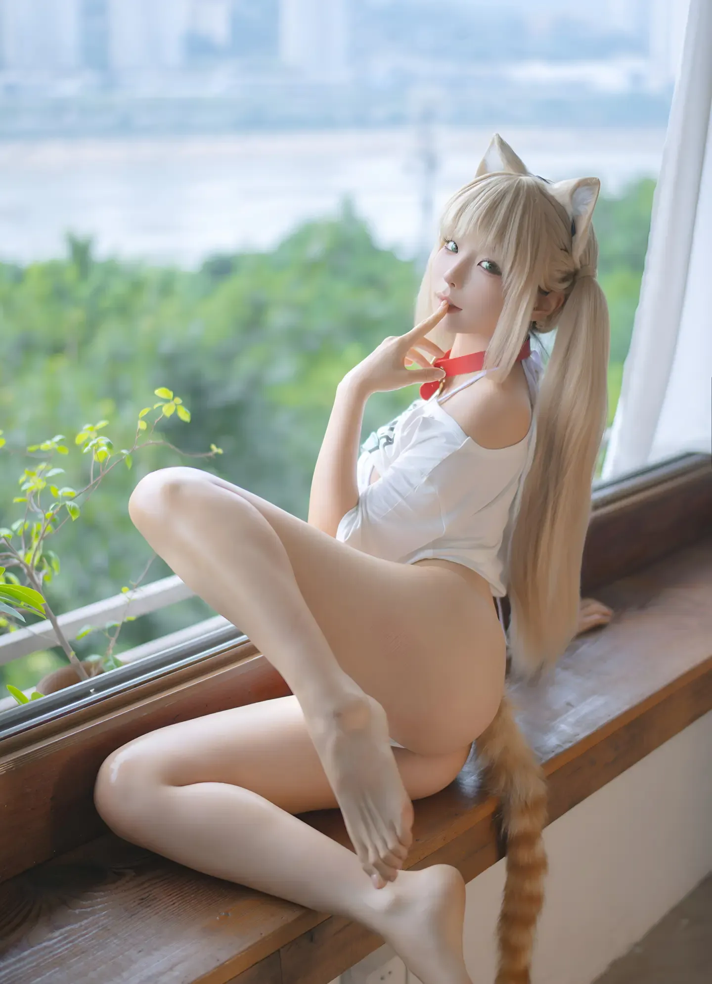 蠢沫沫 黄豆粉2.0