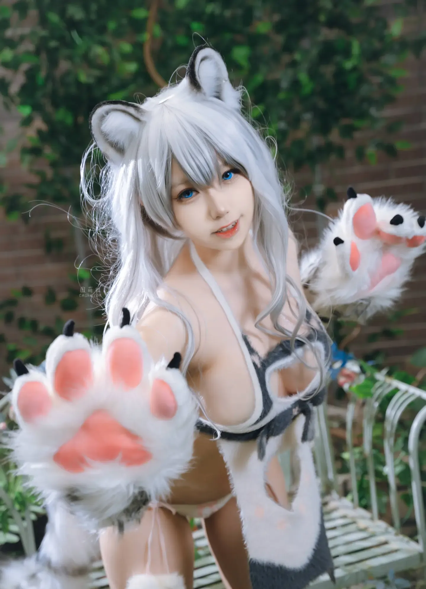 一北亦北 白虎兽娘福瑞