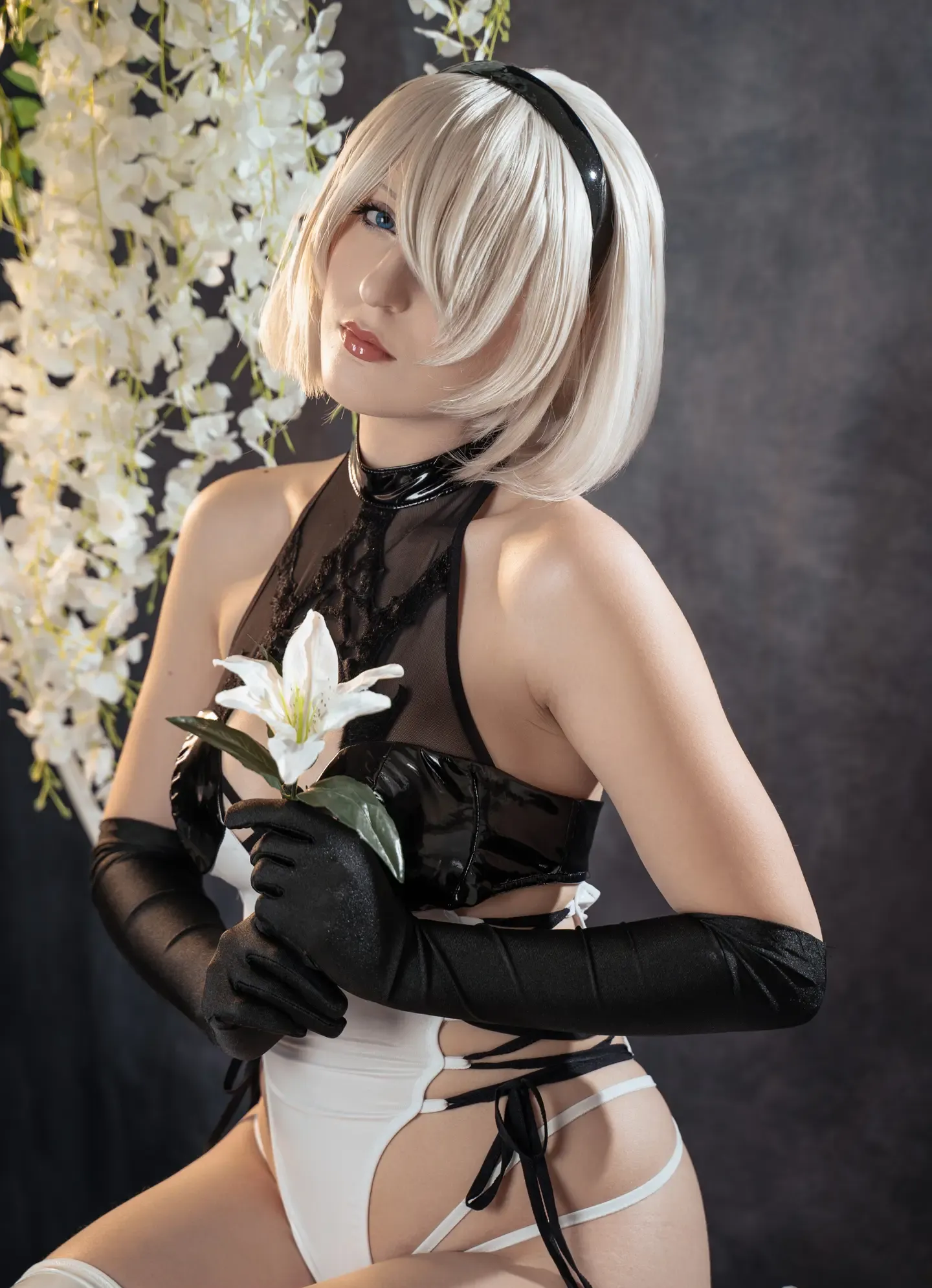 Elycoris 2B