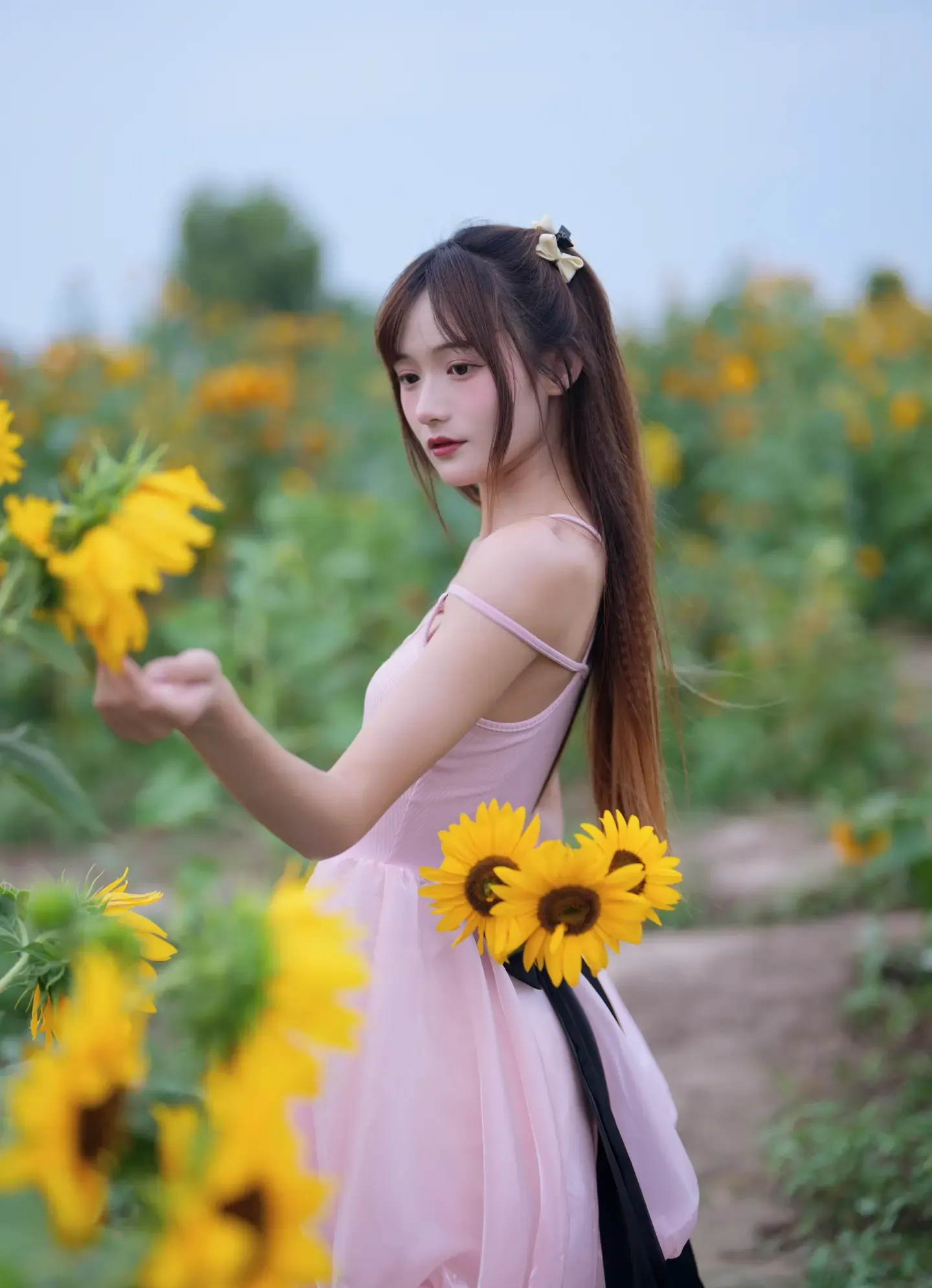 兔子Zzz不吃胡萝卜 蓝调向日葵少女