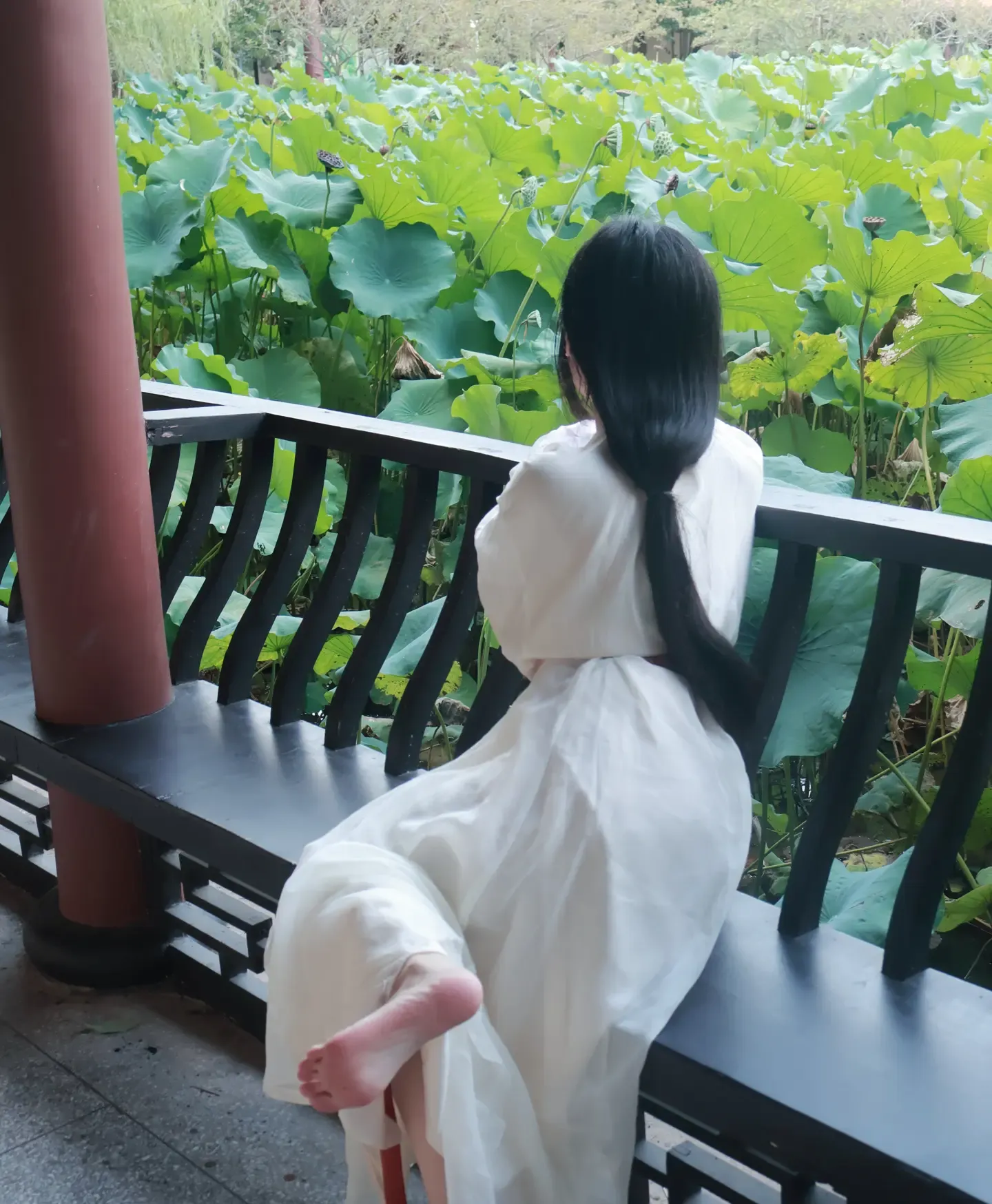 小羊蛋卷 战国袍