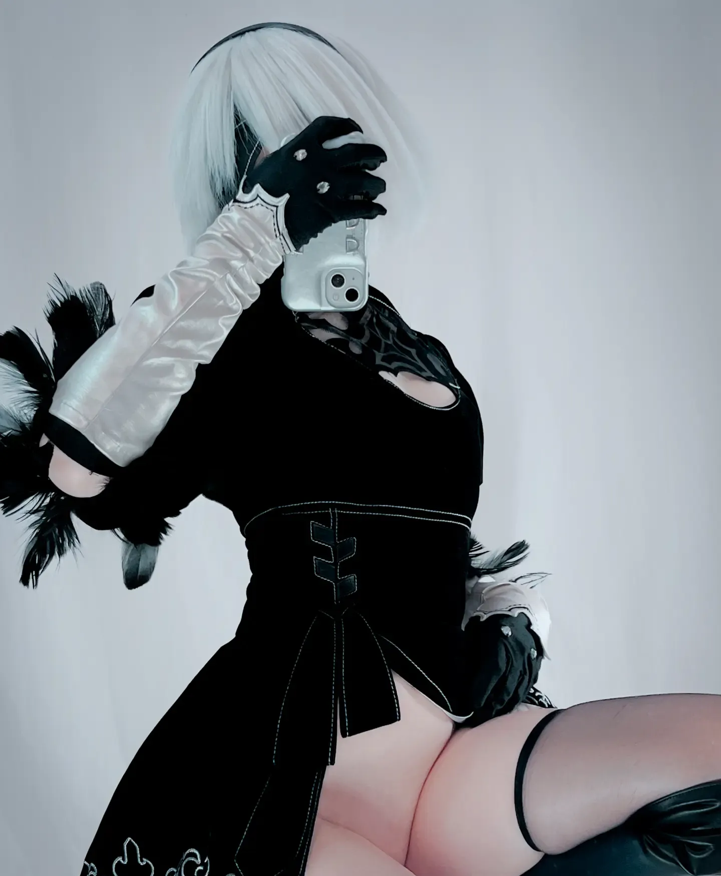 Ayame Type 2B